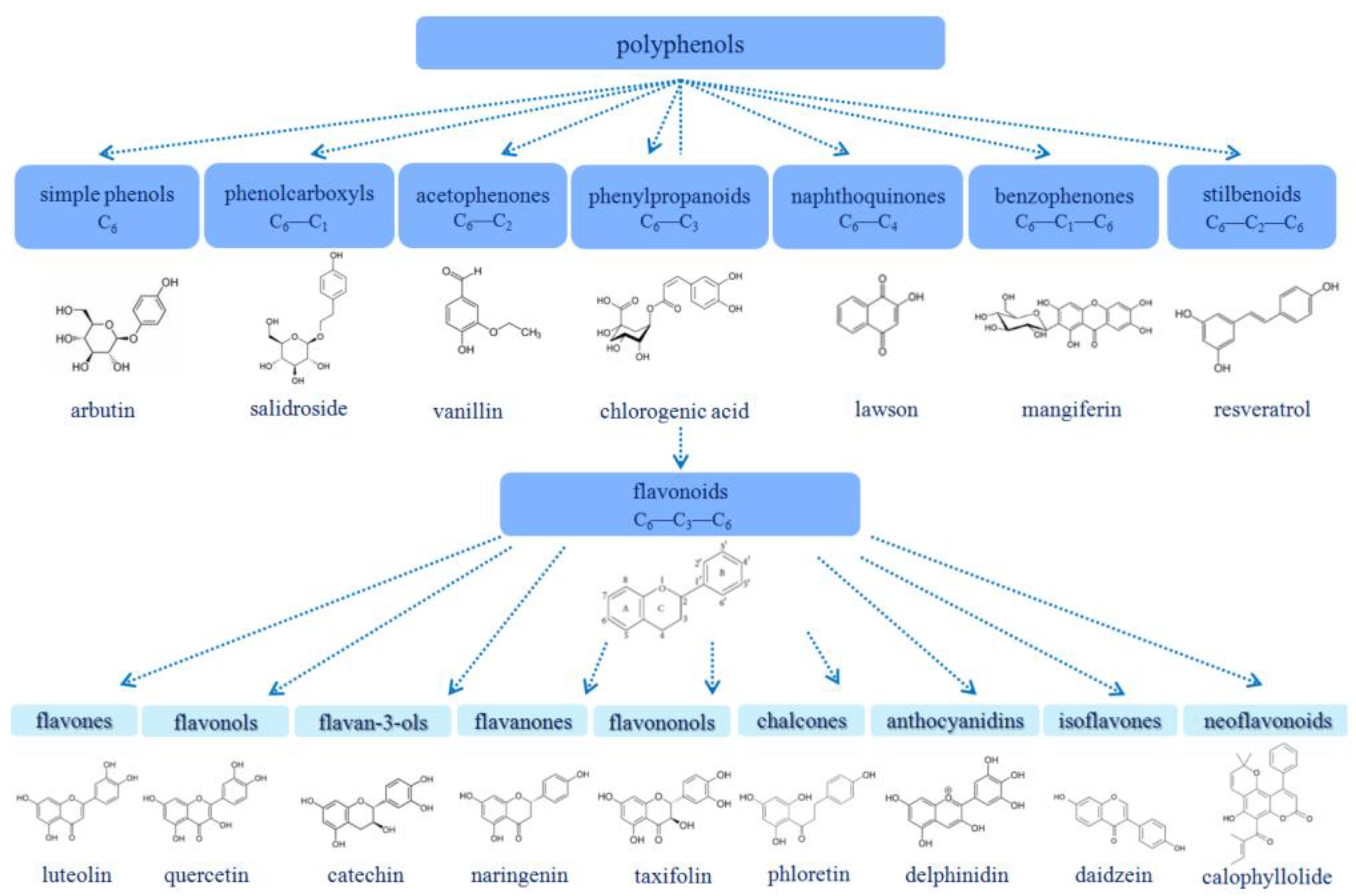 Membranes 13 00453 g001