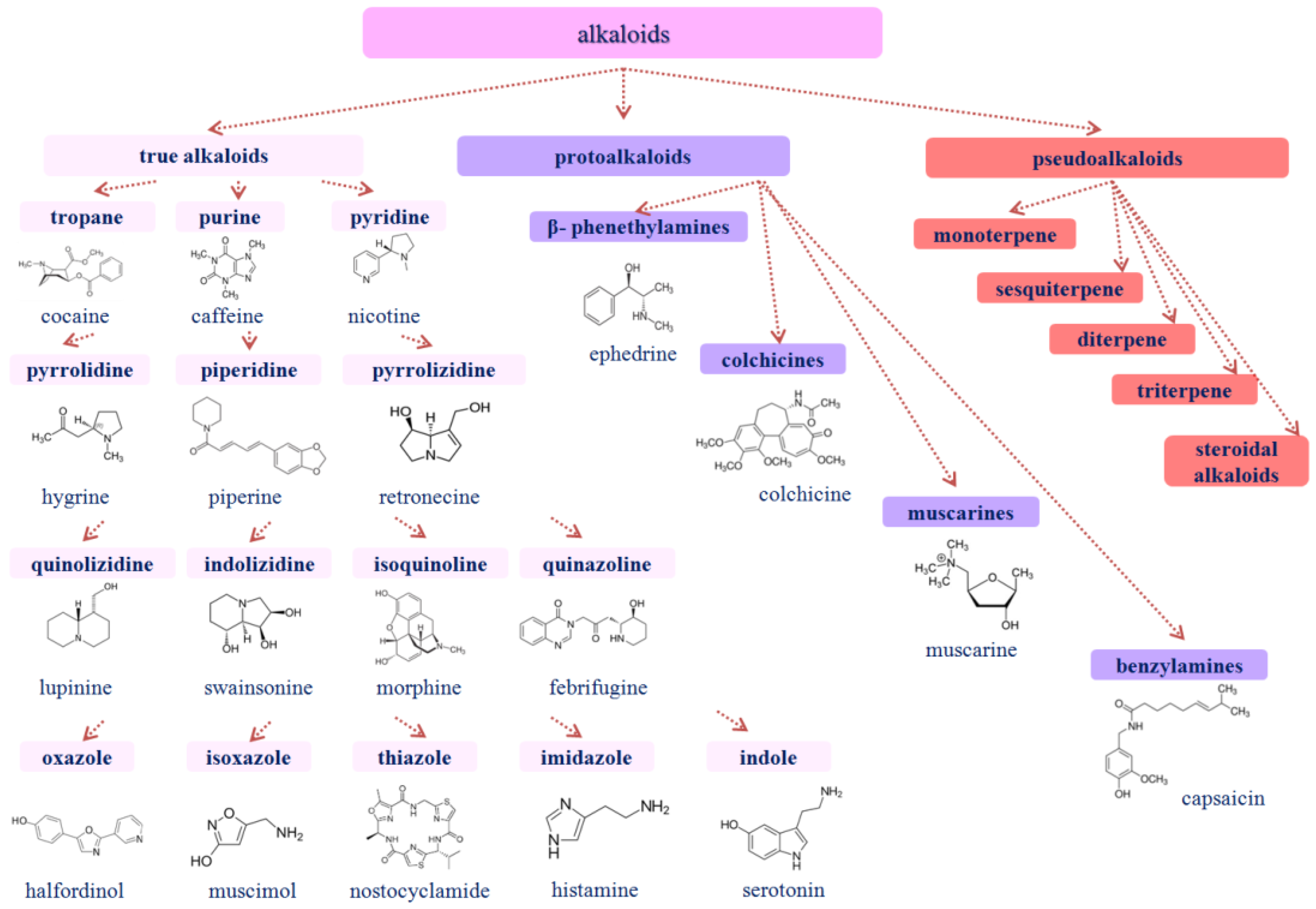 Membranes 13 00453 g002