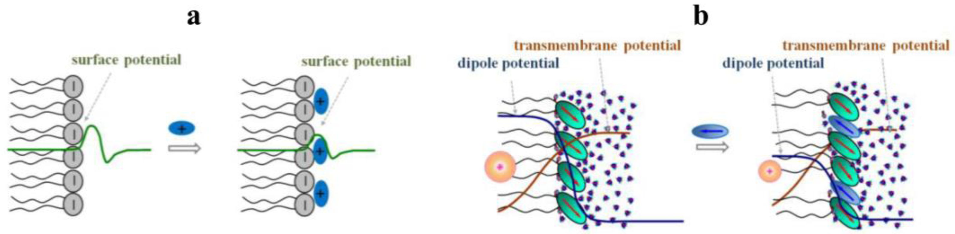 Membranes 13 00453 g004