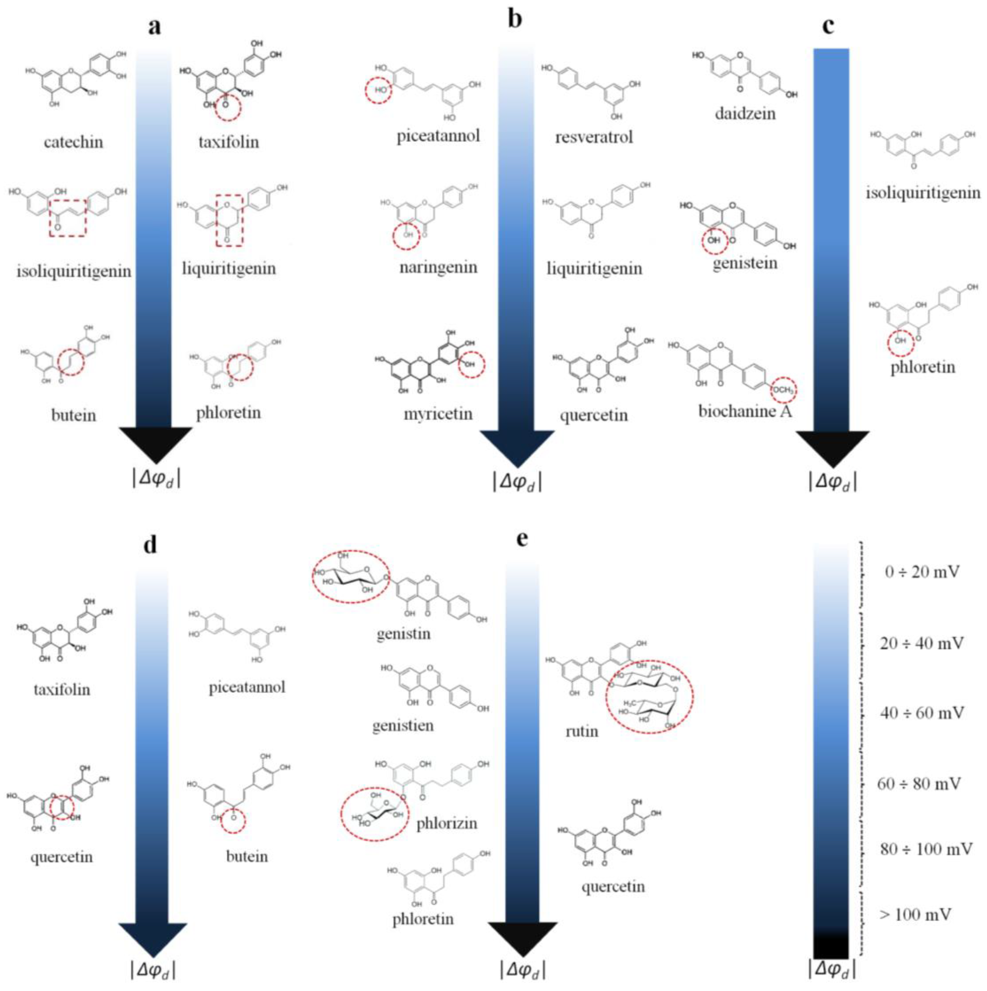 Membranes 13 00453 g005
