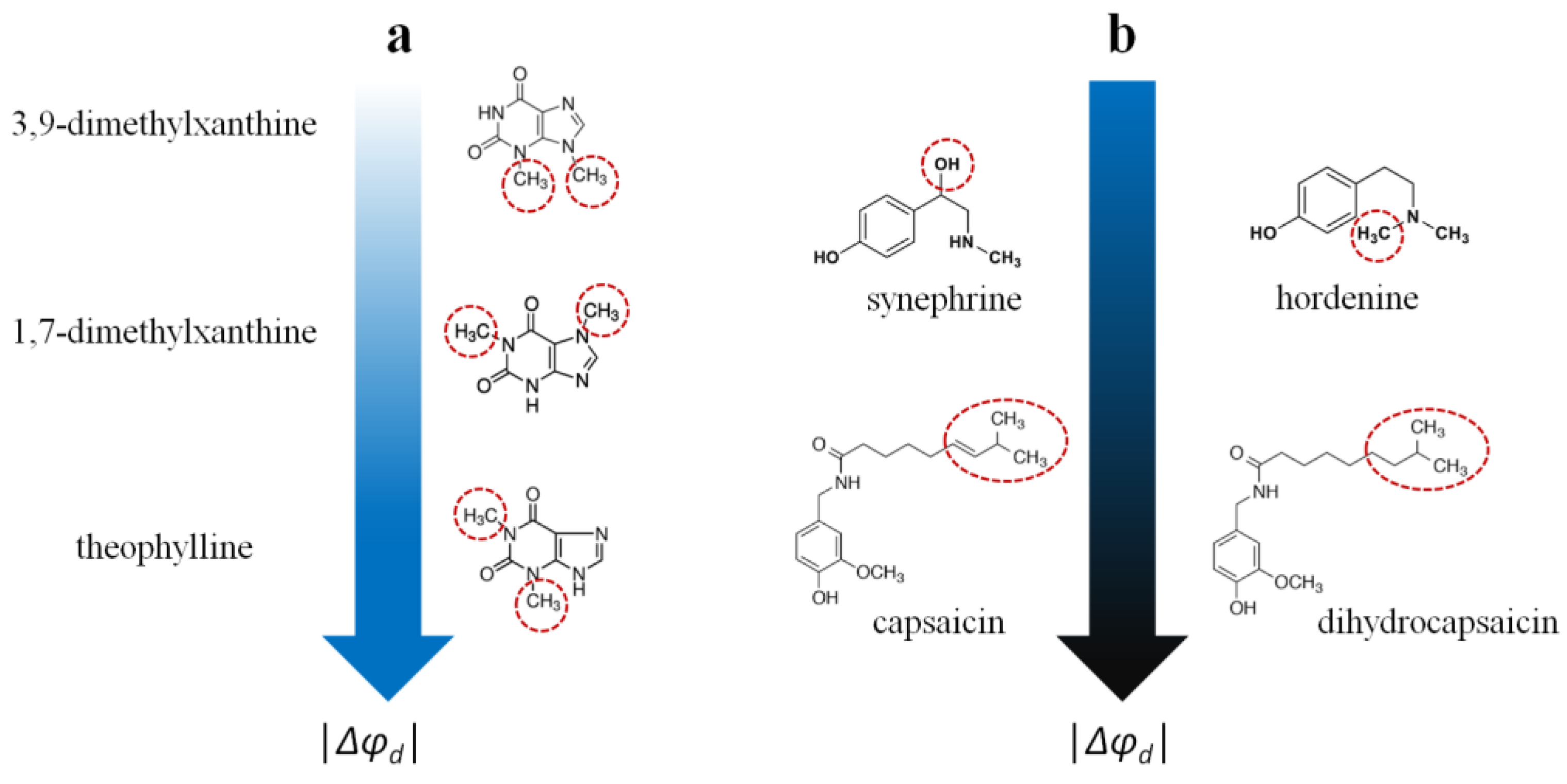 Membranes 13 00453 g006