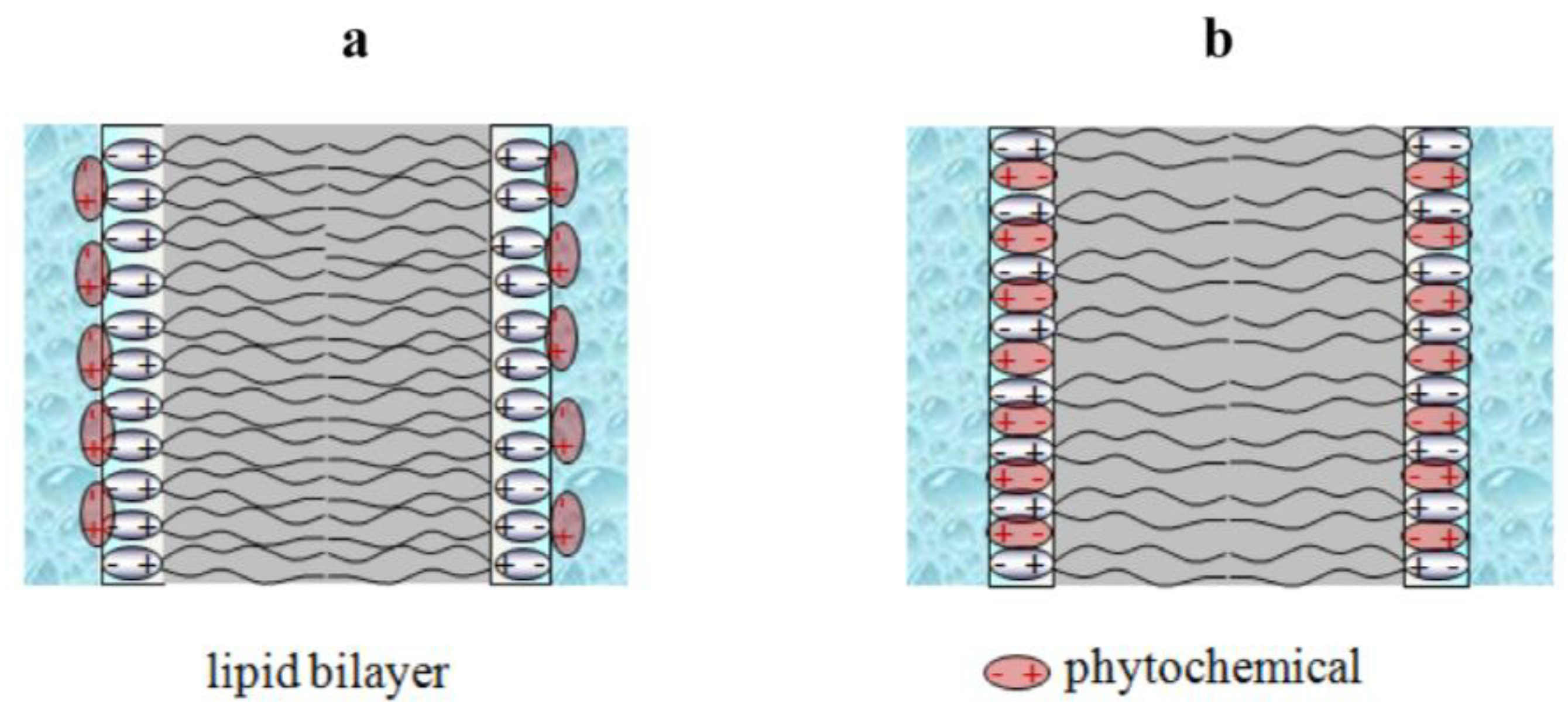 Membranes 13 00453 g008