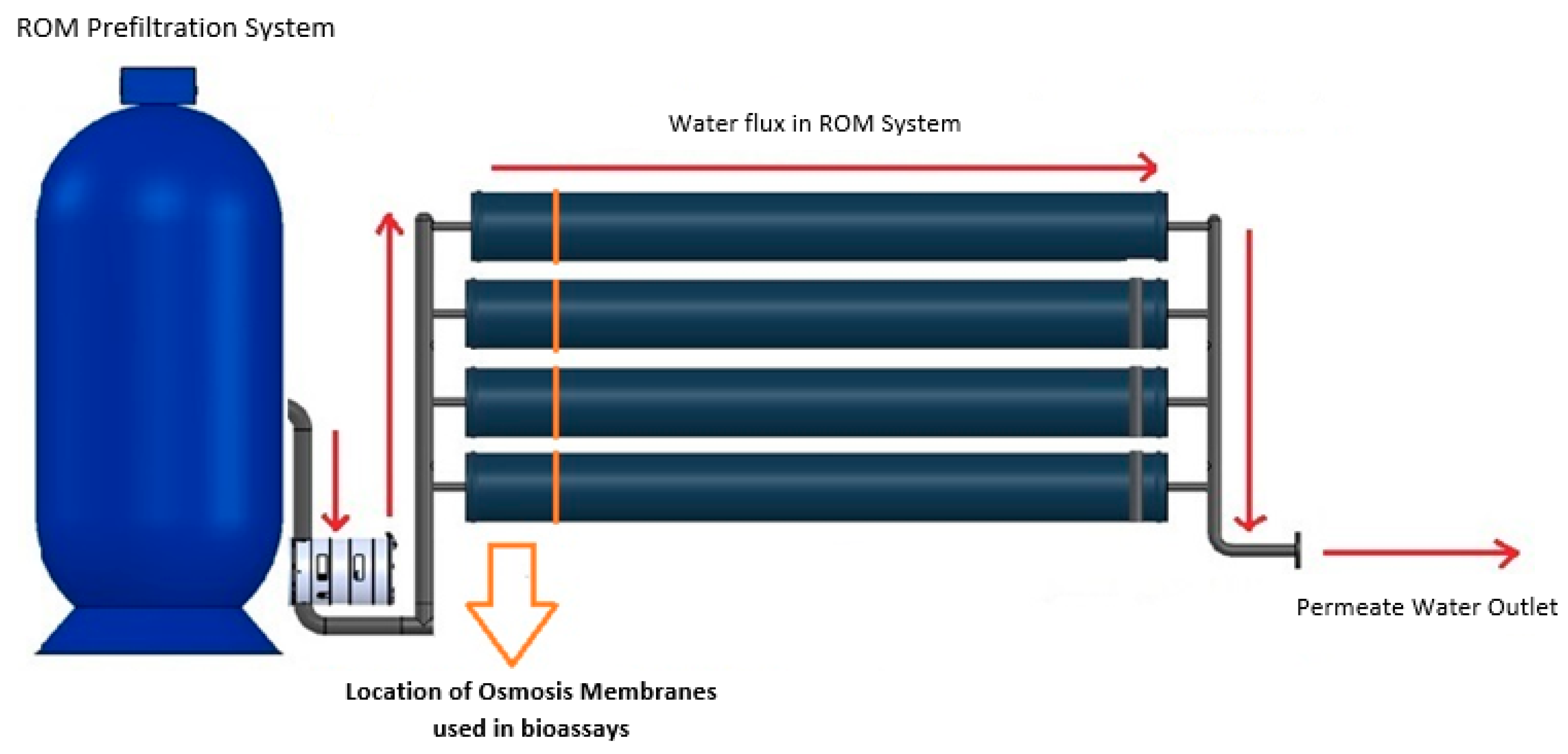 Membranes 13 00454 g001