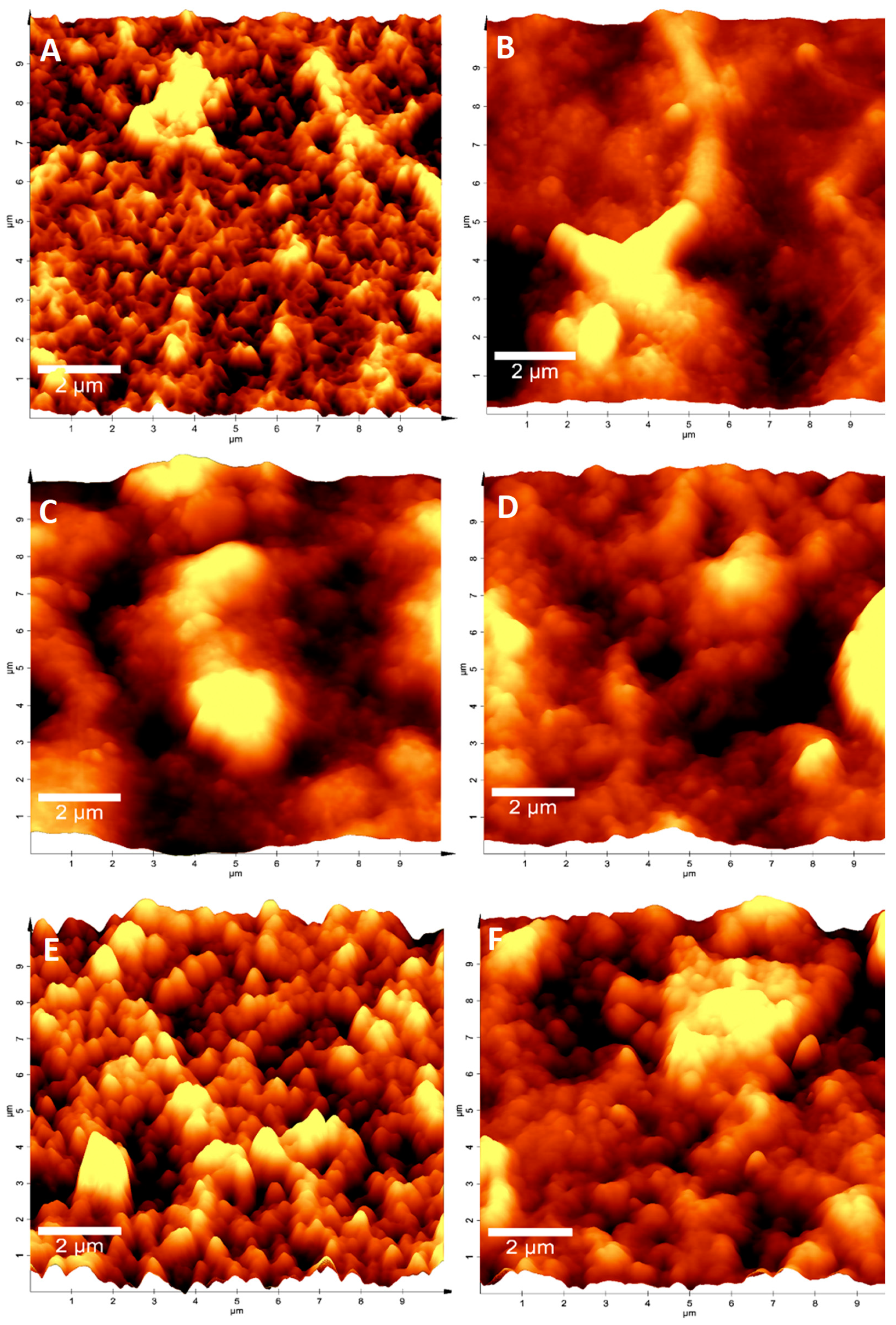 Membranes 13 00454 g002