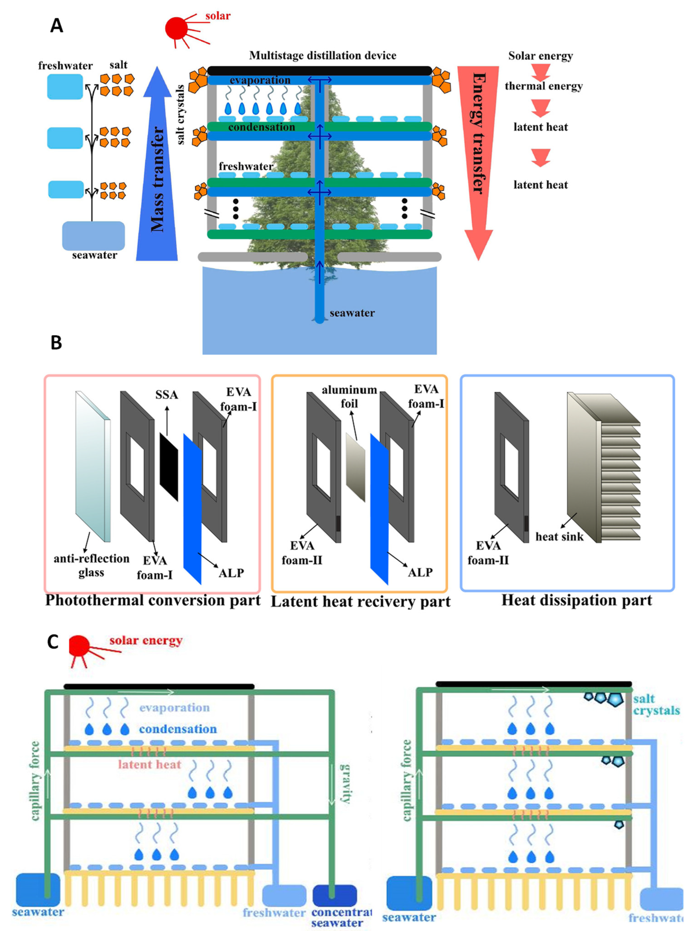 Membranes 13 00460 g006