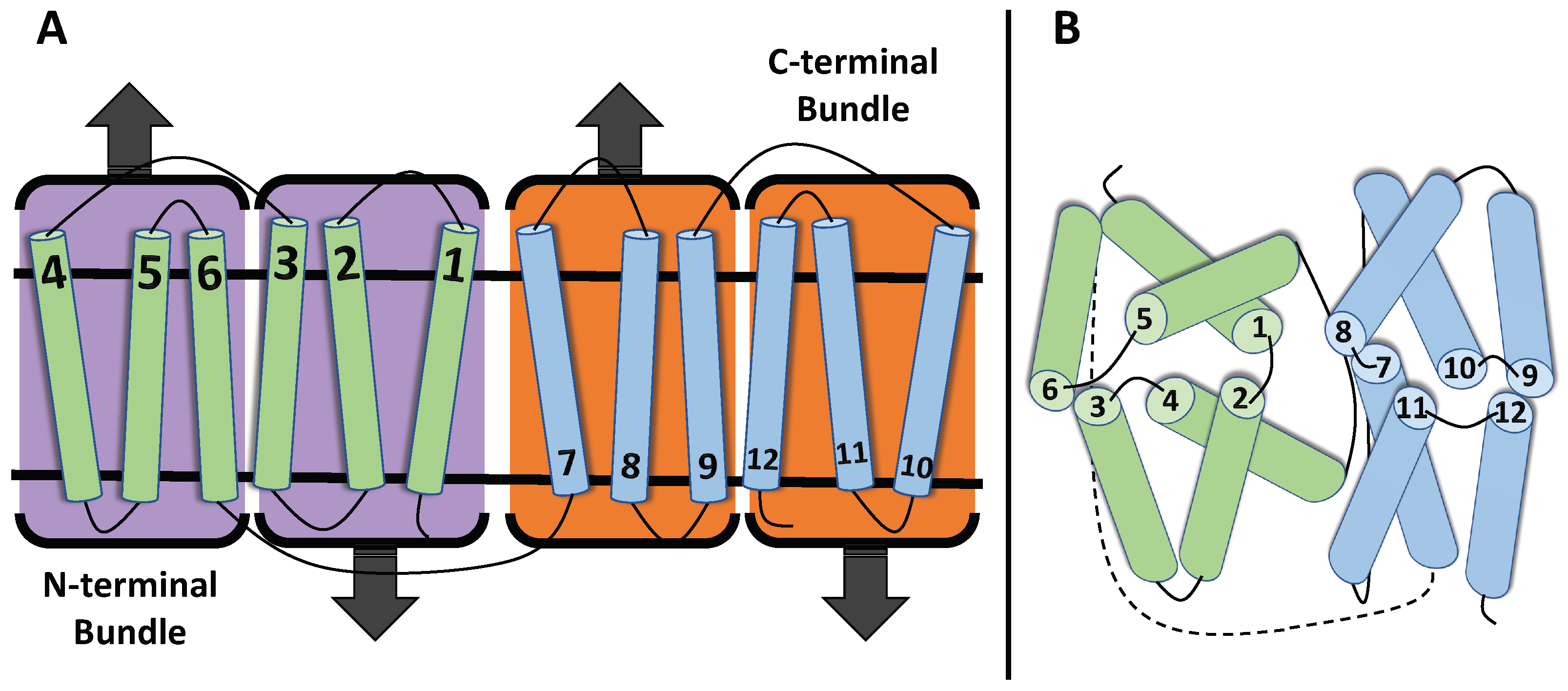 Membranes 13 00462 g001