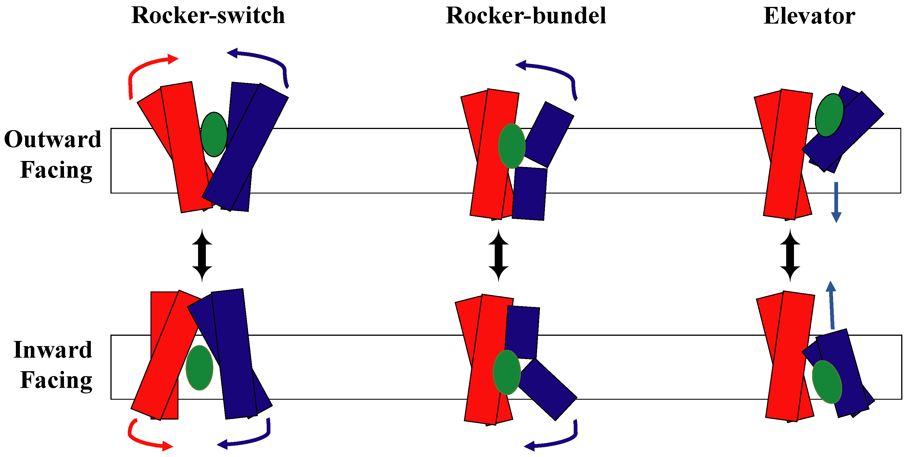 Membranes 13 00462 g002