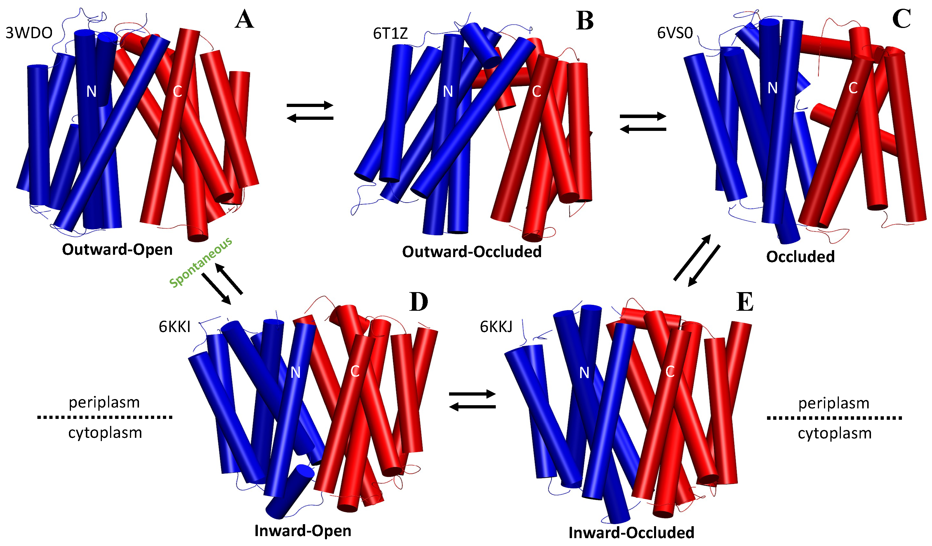 Membranes 13 00462 g004