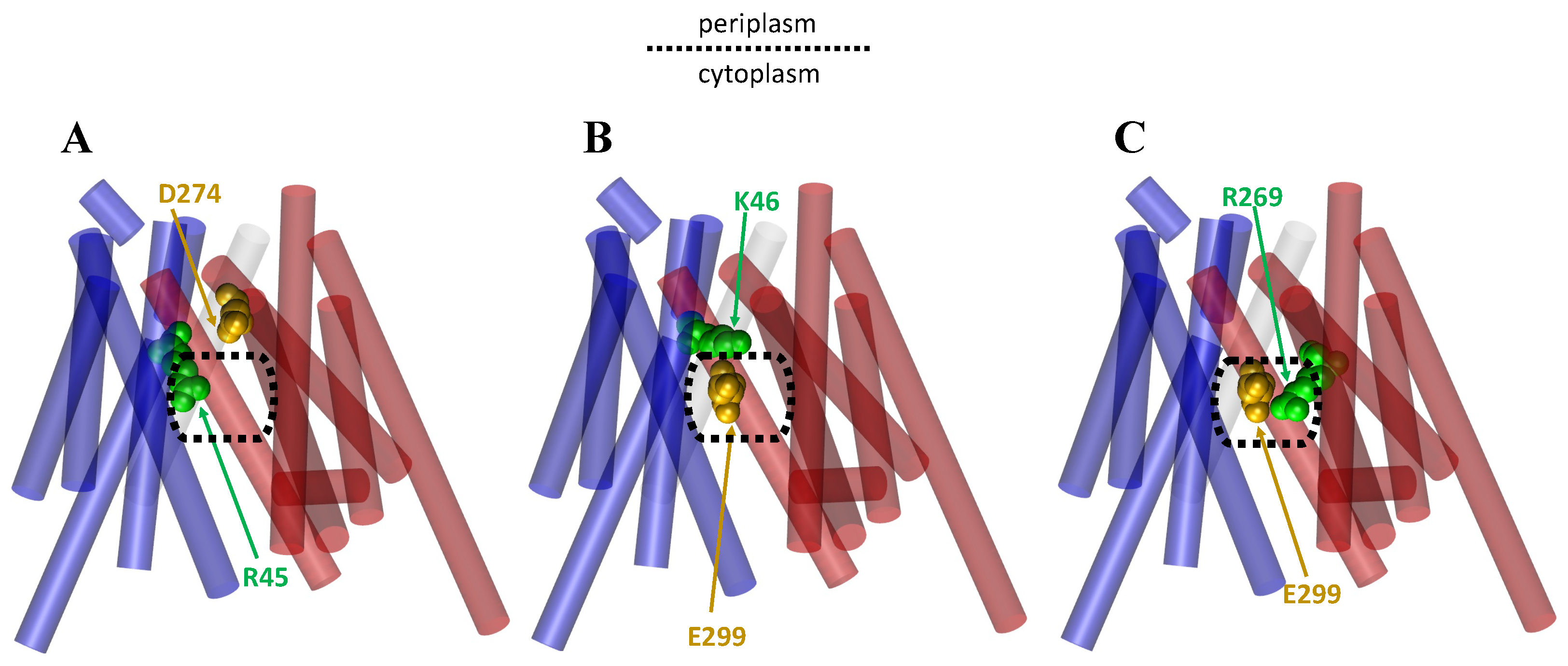 Membranes 13 00462 g006