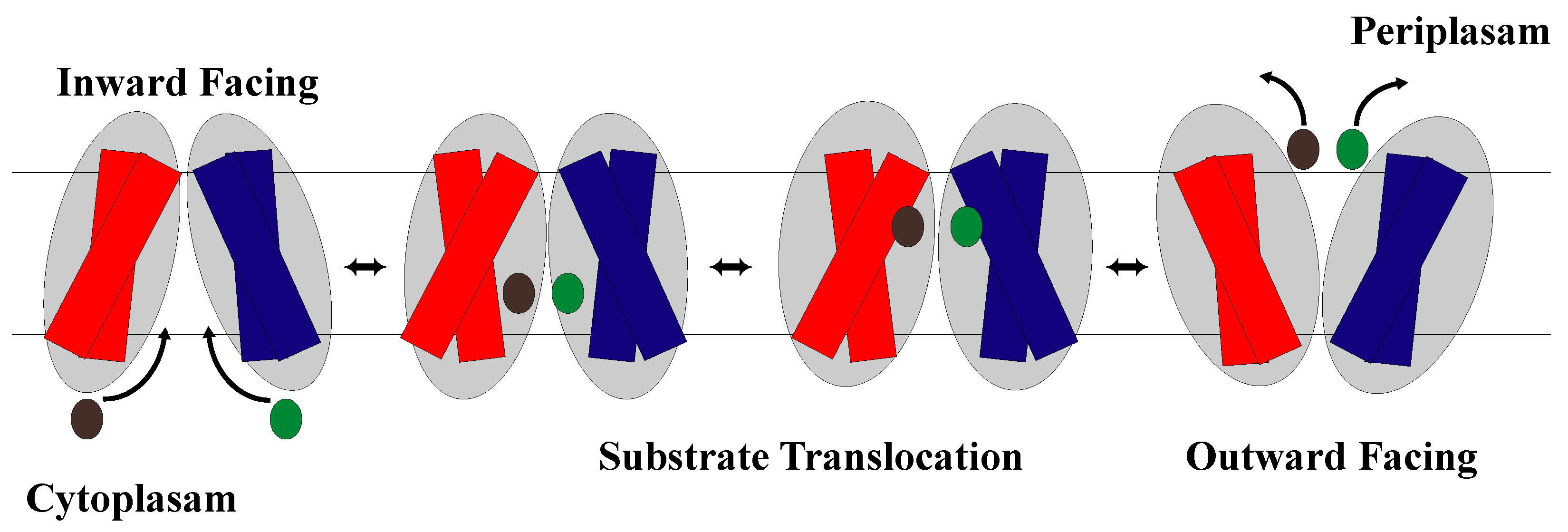 Membranes 13 00462 g007