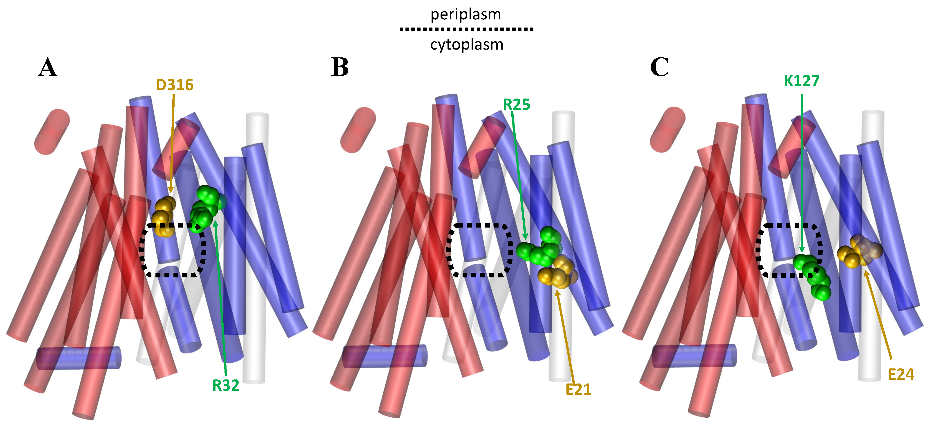 Membranes 13 00462 g008