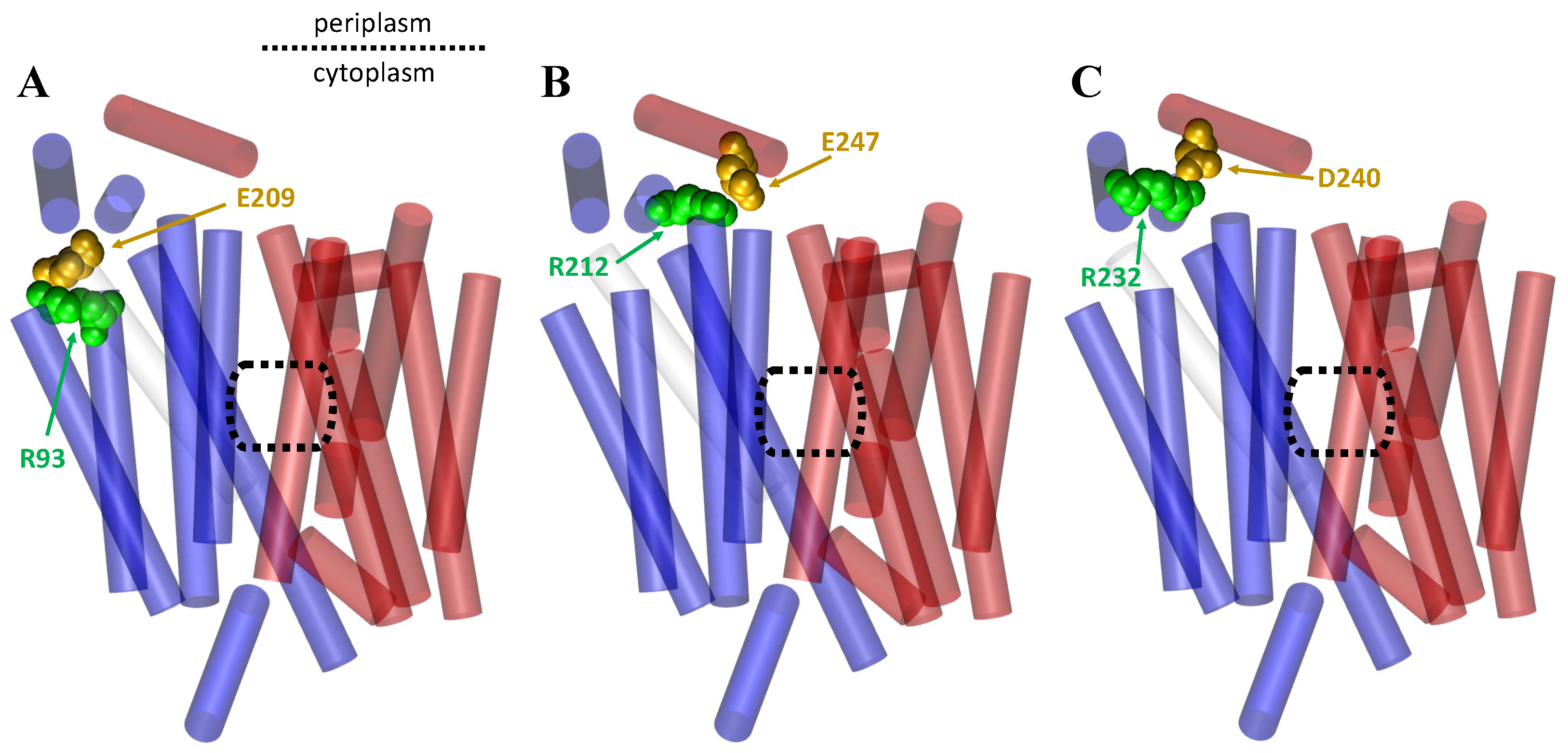 Membranes 13 00462 g010
