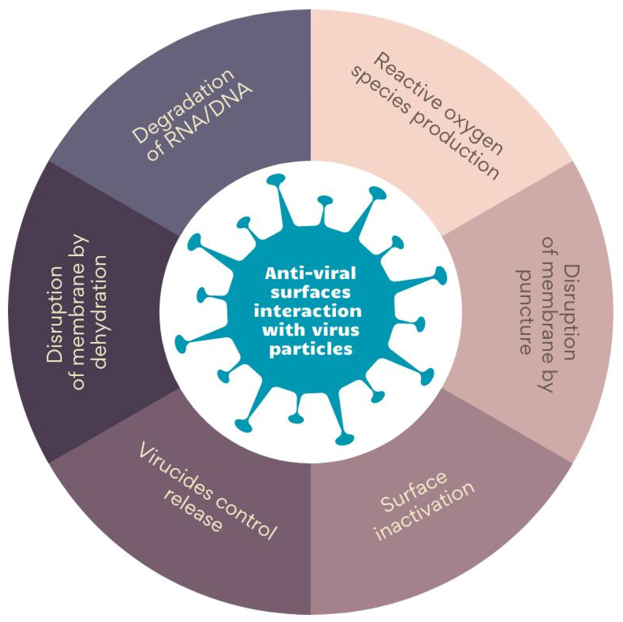 Membranes 13 00464 g002