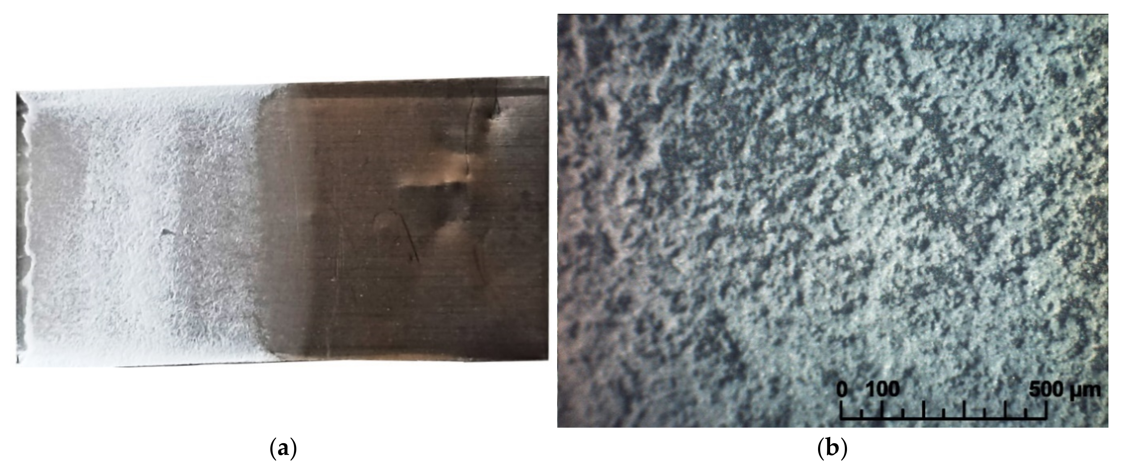 Membranes 13 00468 g002 Membranes 13 00468 g002