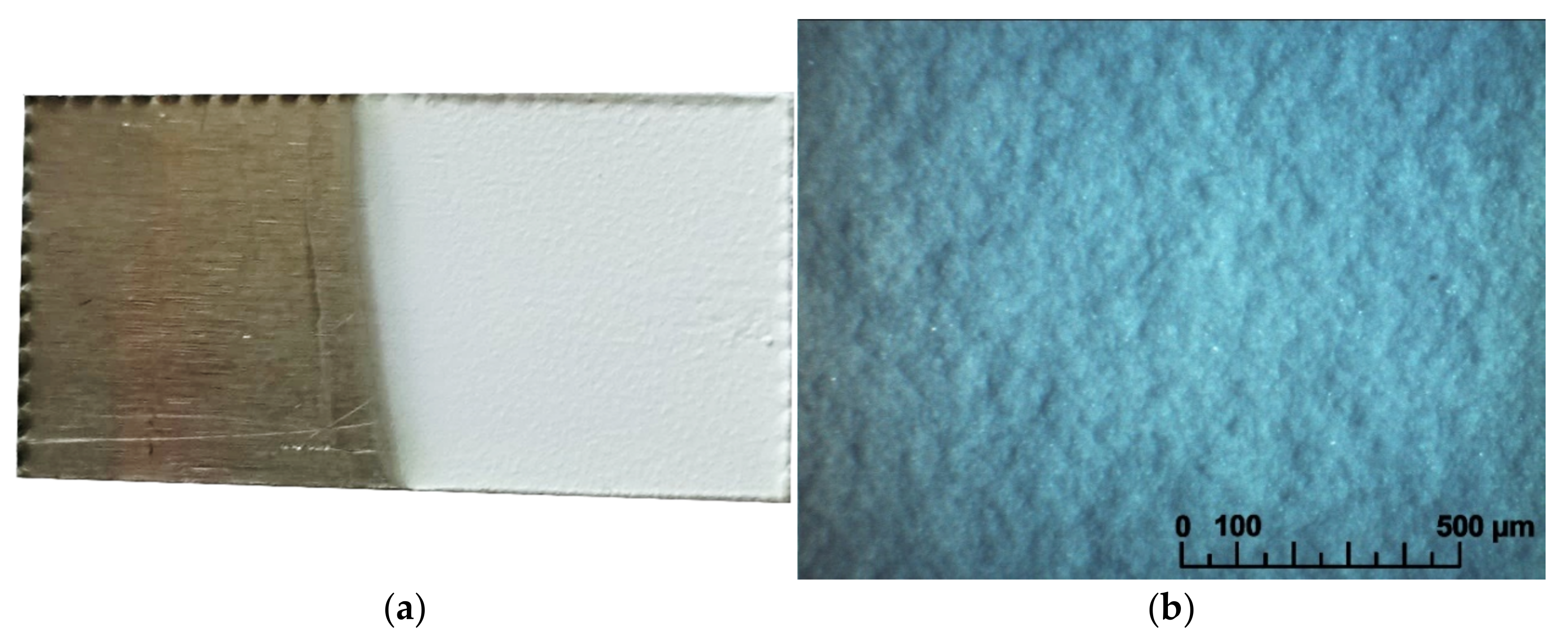 Membranes 13 00468 g004 Membranes 13 00468 g004