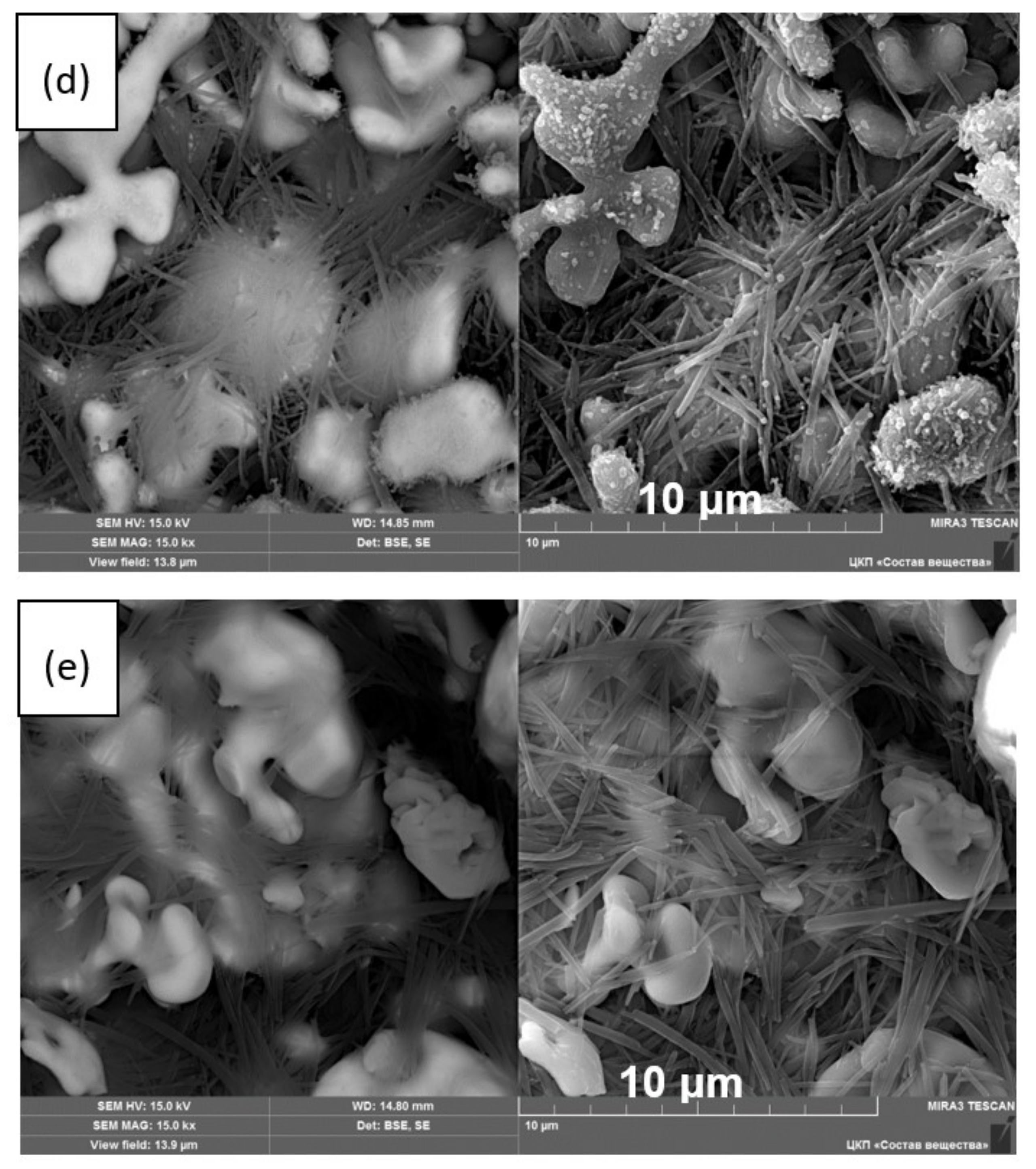Membranes 13 00468 g007b Membranes 13 00468 g007b