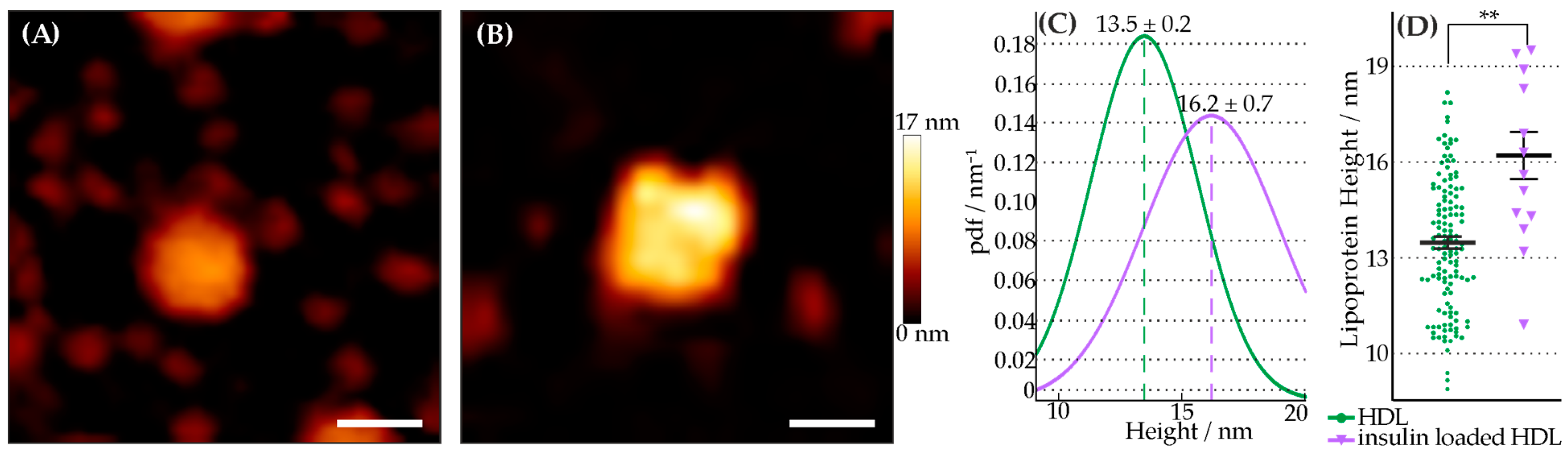Membranes 13 00471 g001