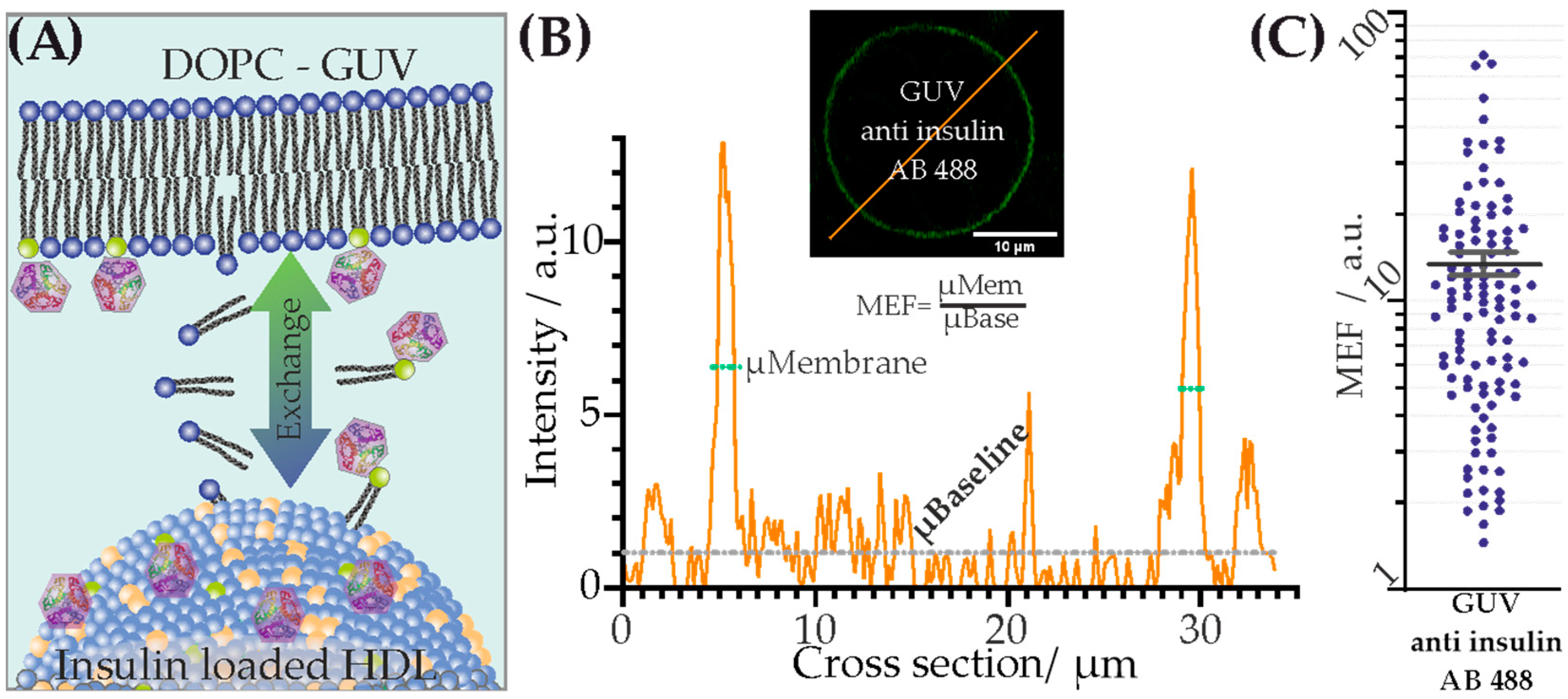 Membranes 13 00471 g002