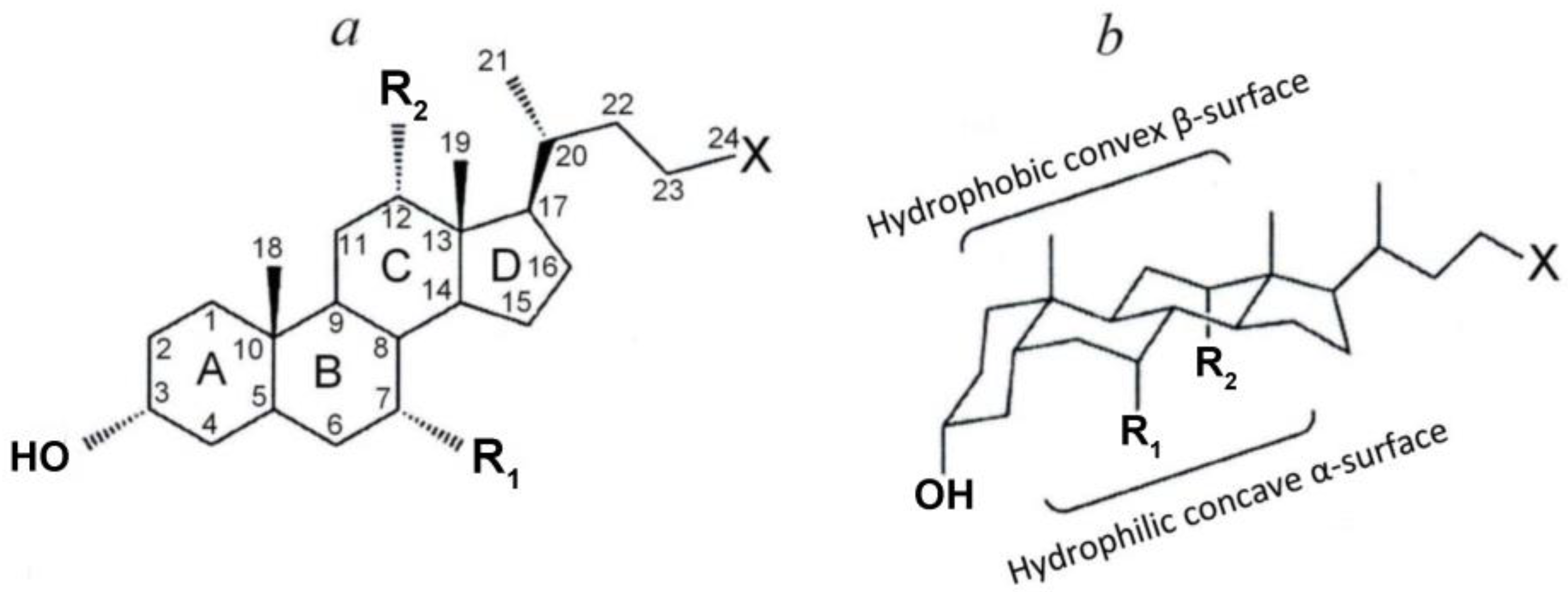Membranes 13 00472 g001