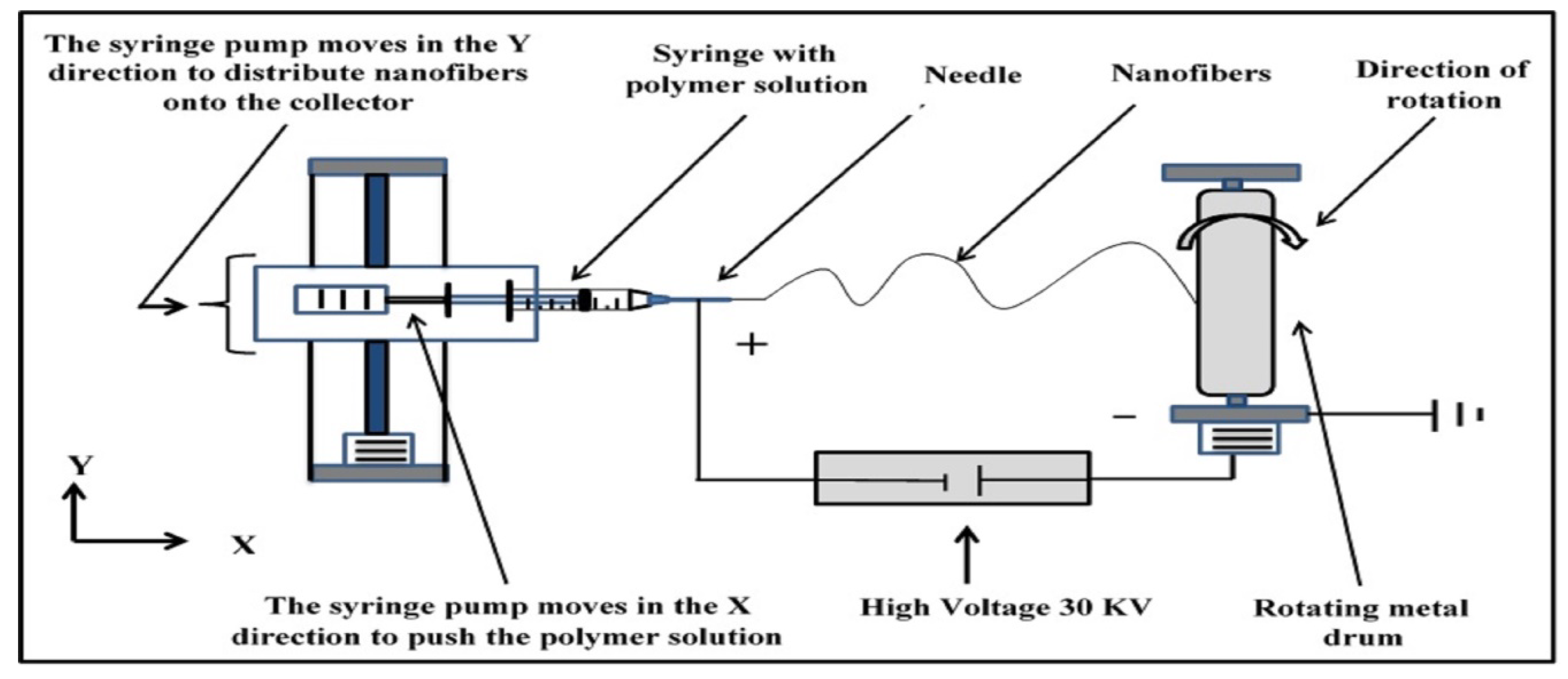 Membranes 13 00474 g001