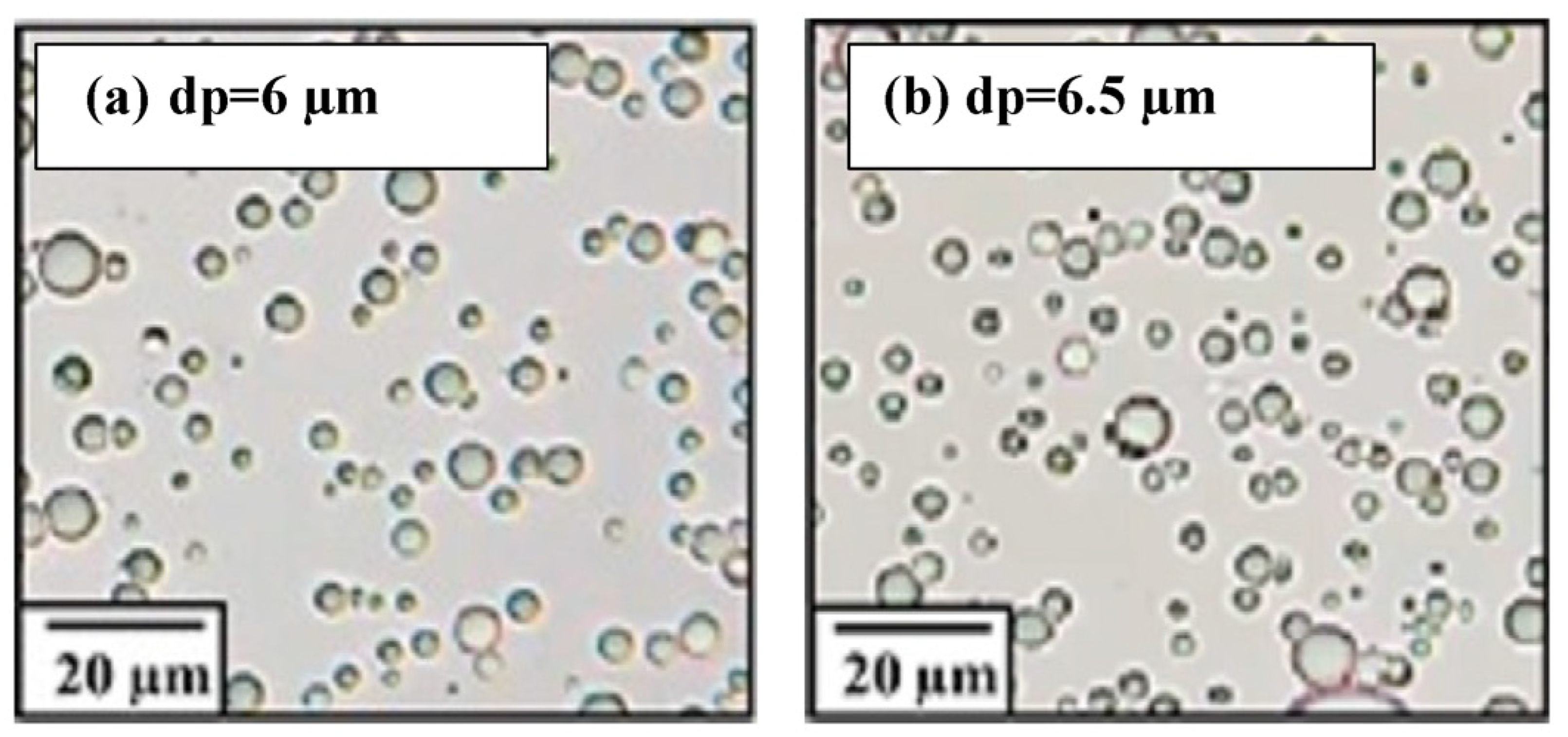 Membranes 13 00474 g003