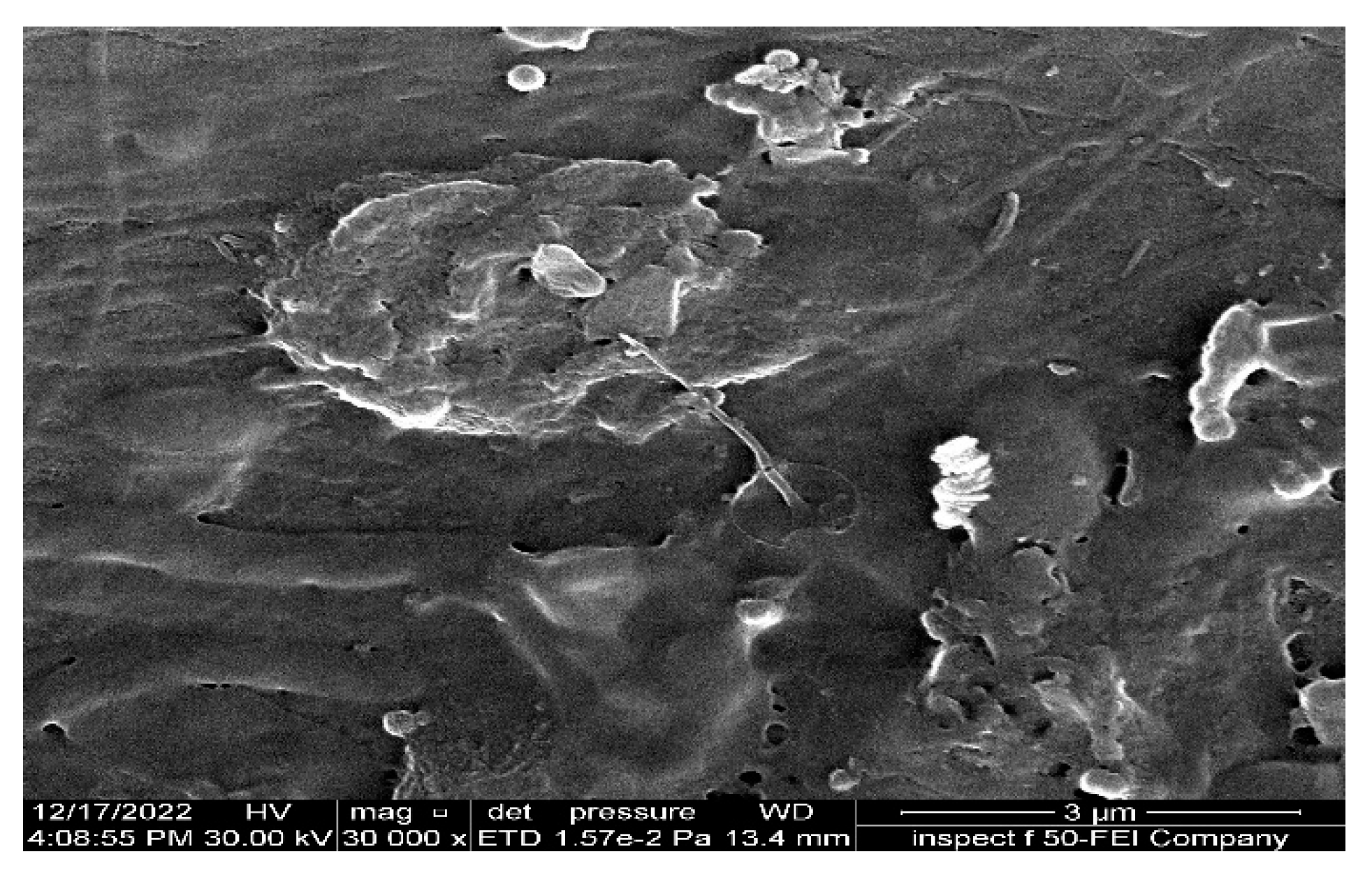 Membranes 13 00474 g014