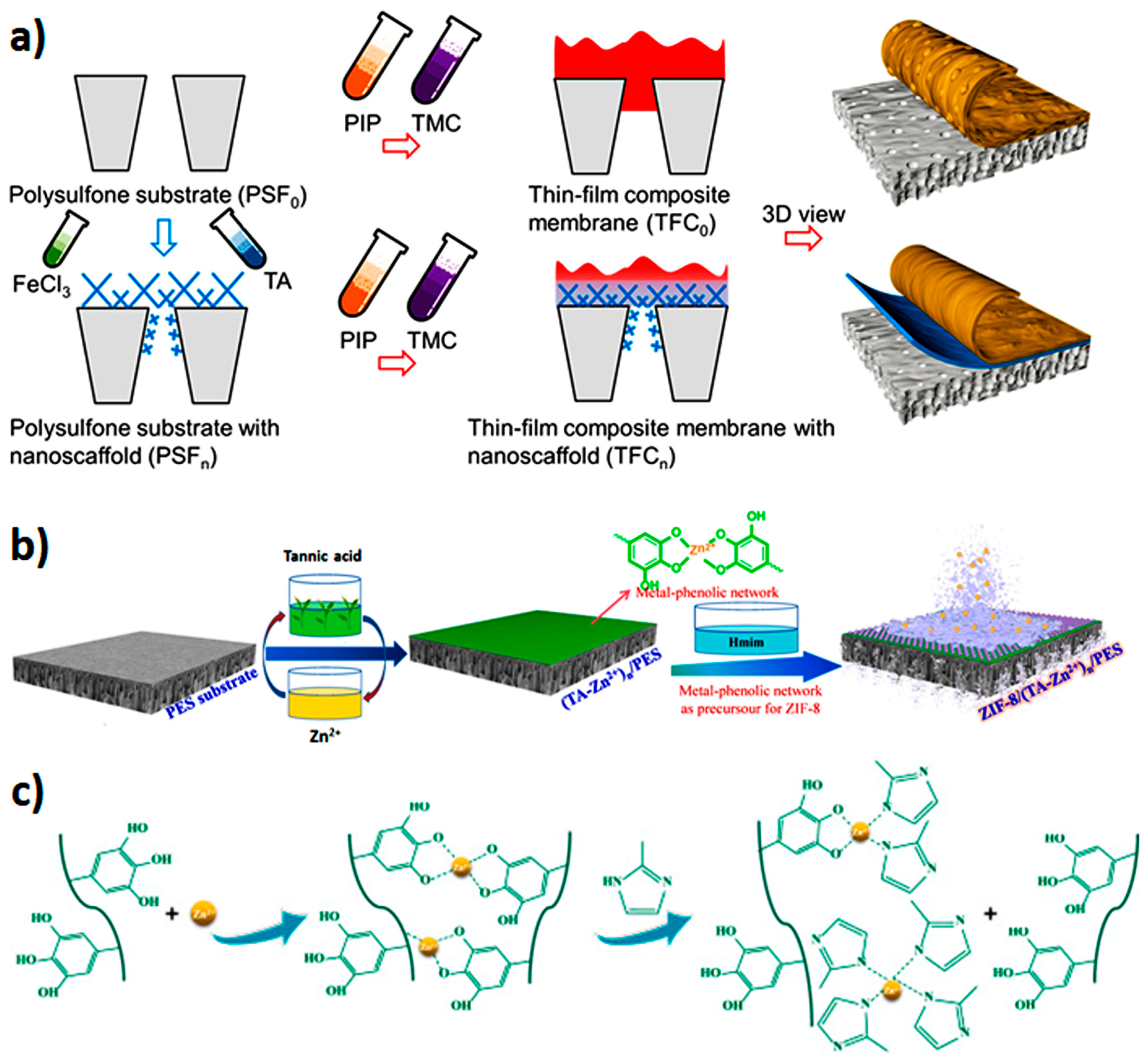 Membranes 13 00481 g002