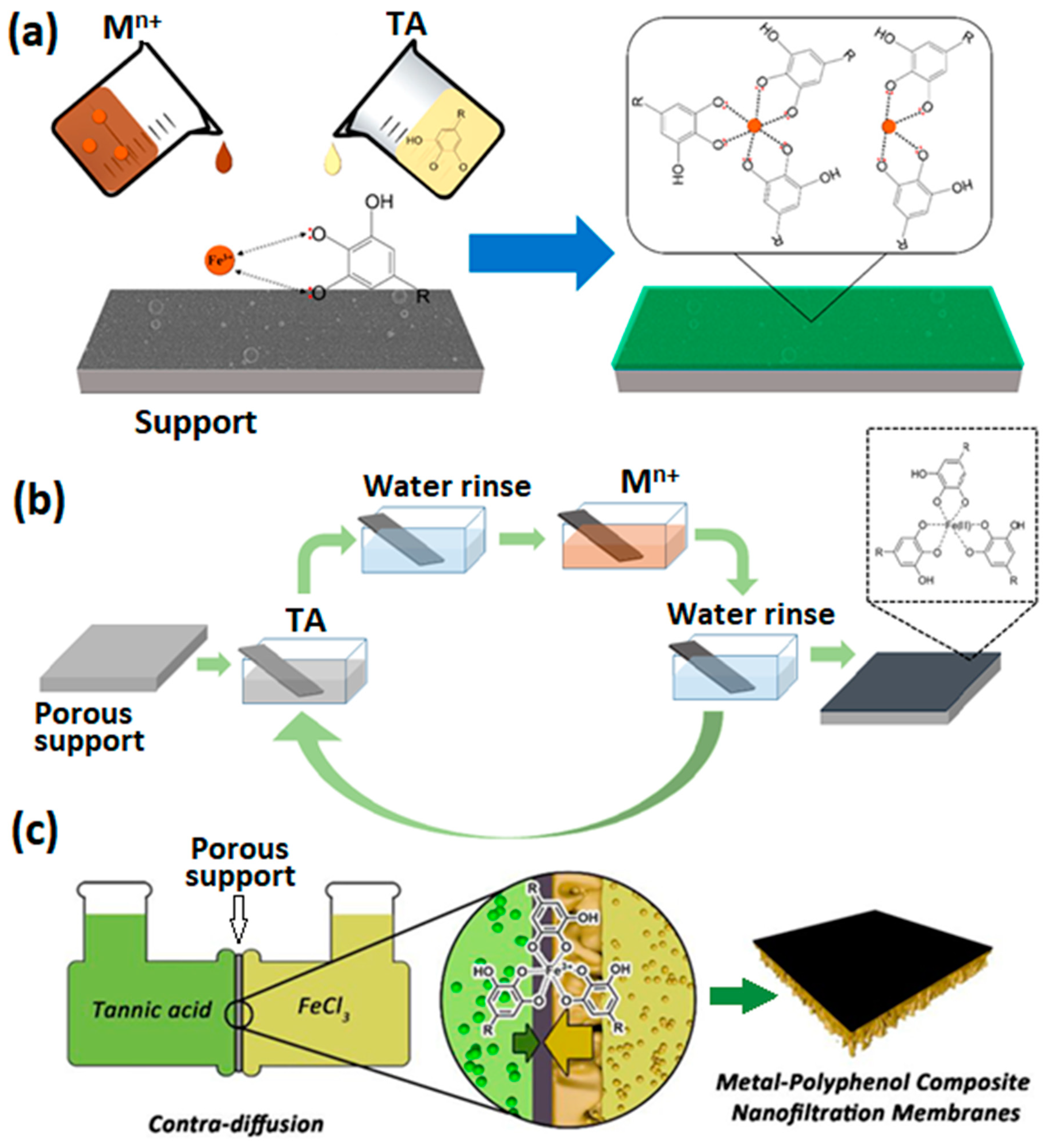 Membranes 13 00481 g004
