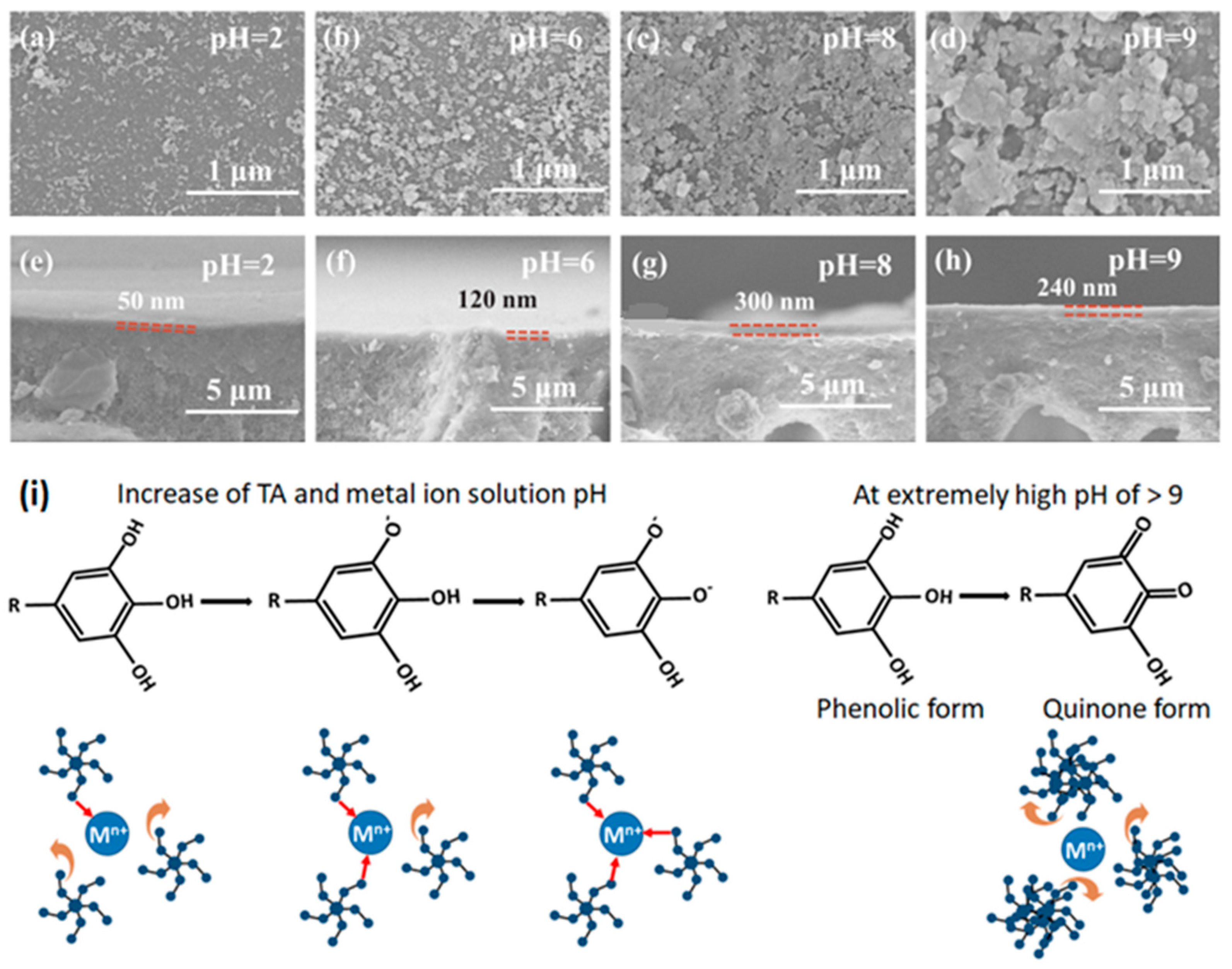Membranes 13 00481 g006