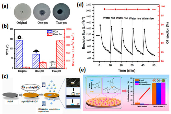 Membranes 13 00481 g009