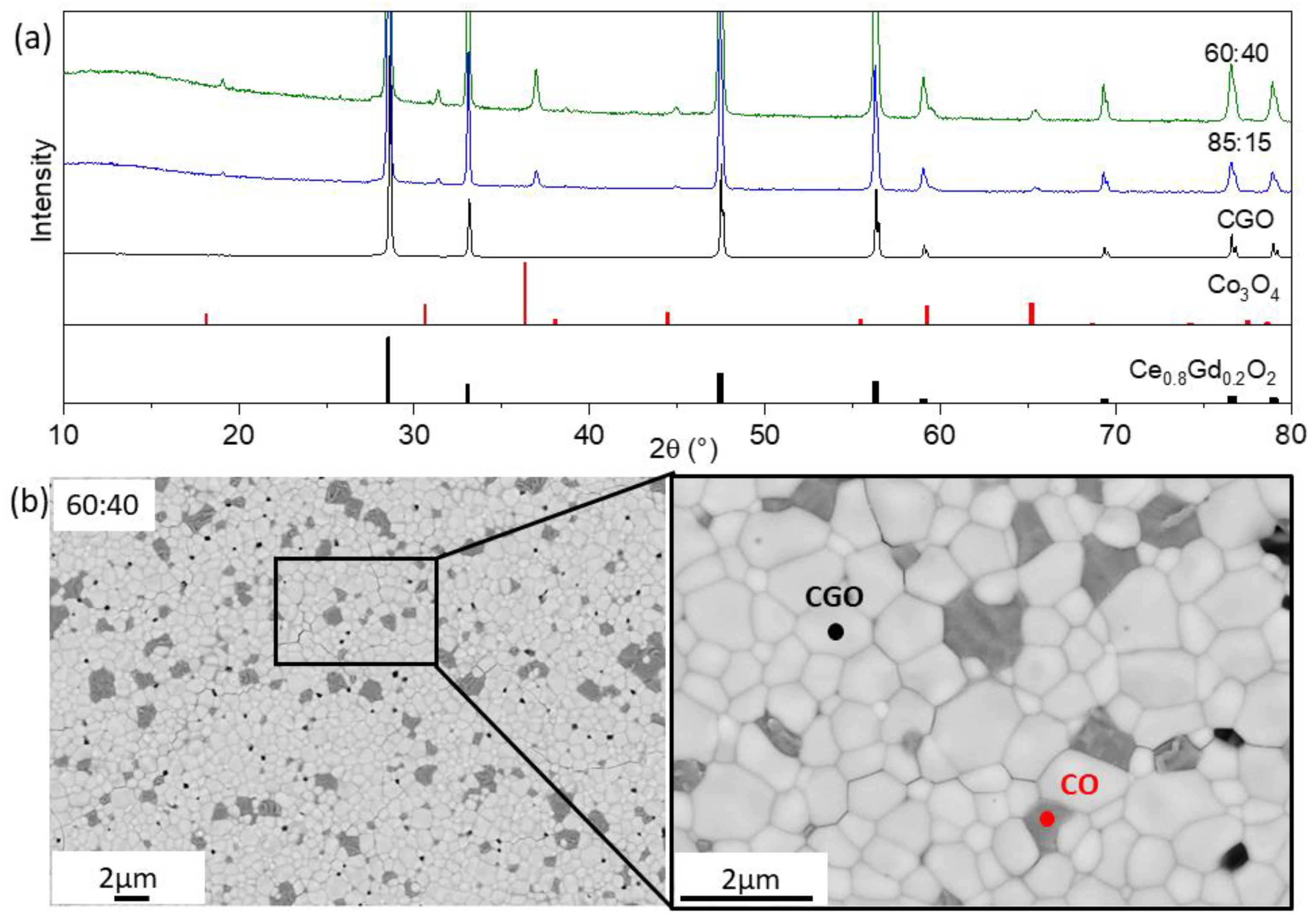 Membranes 13 00482 g001