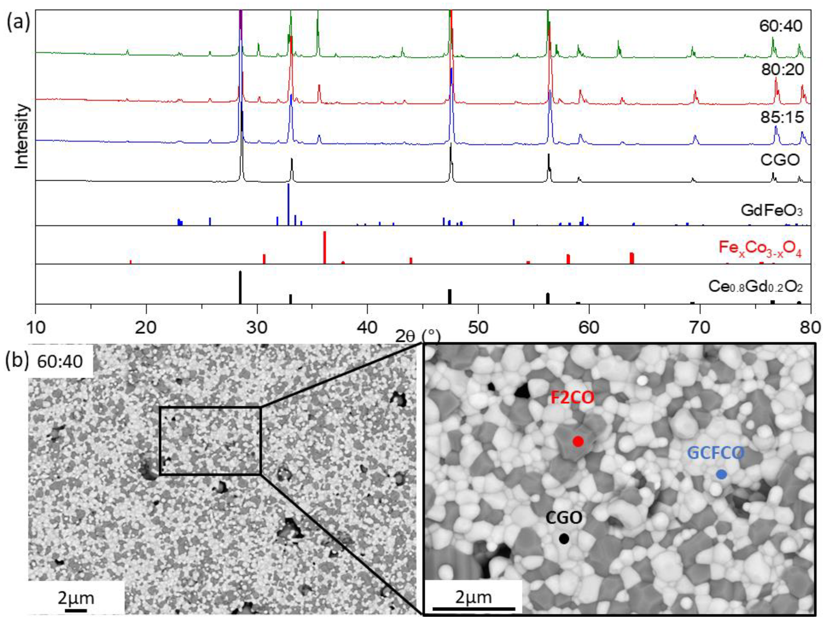 Membranes 13 00482 g003