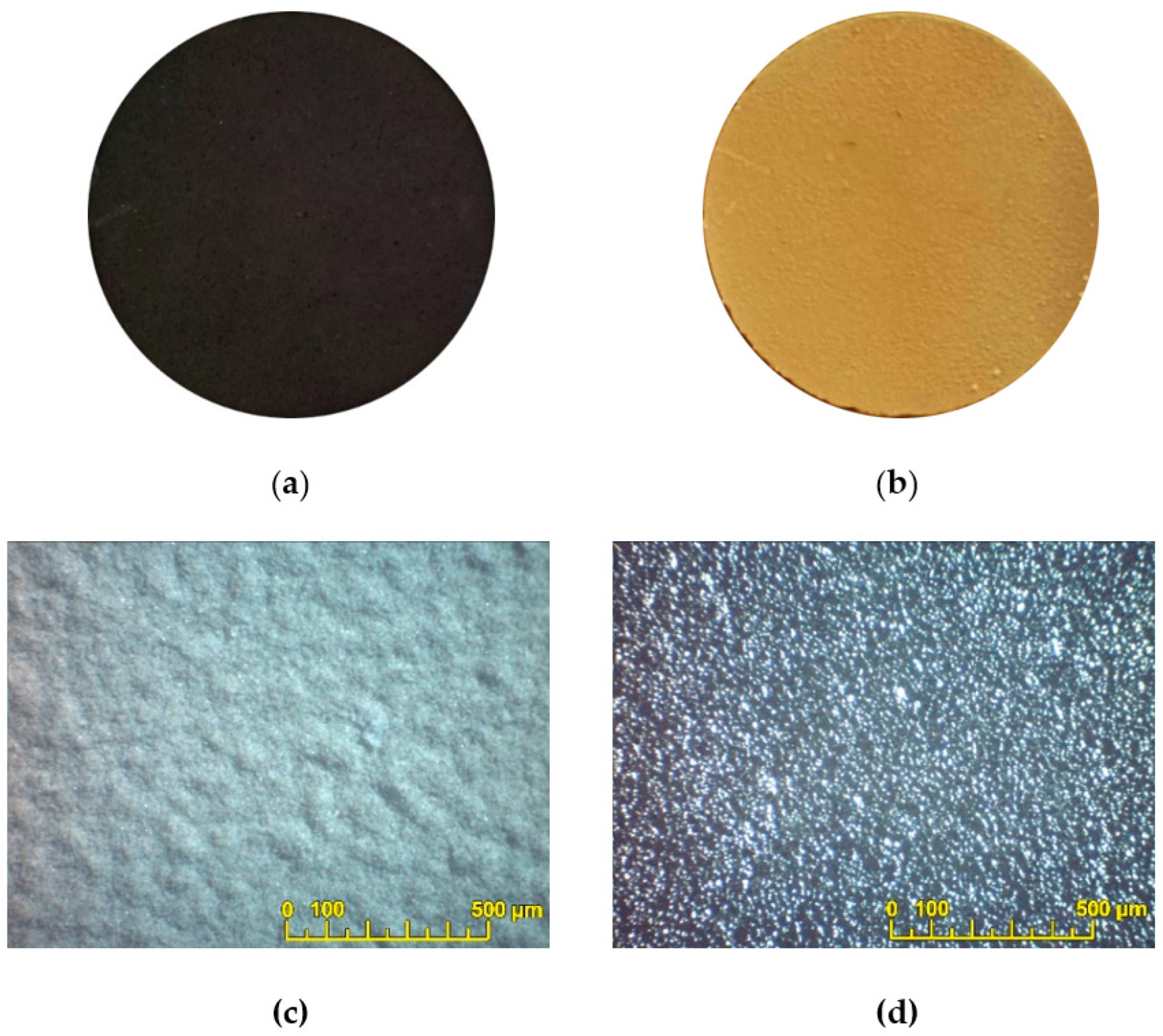 Membranes 13 00484 g004