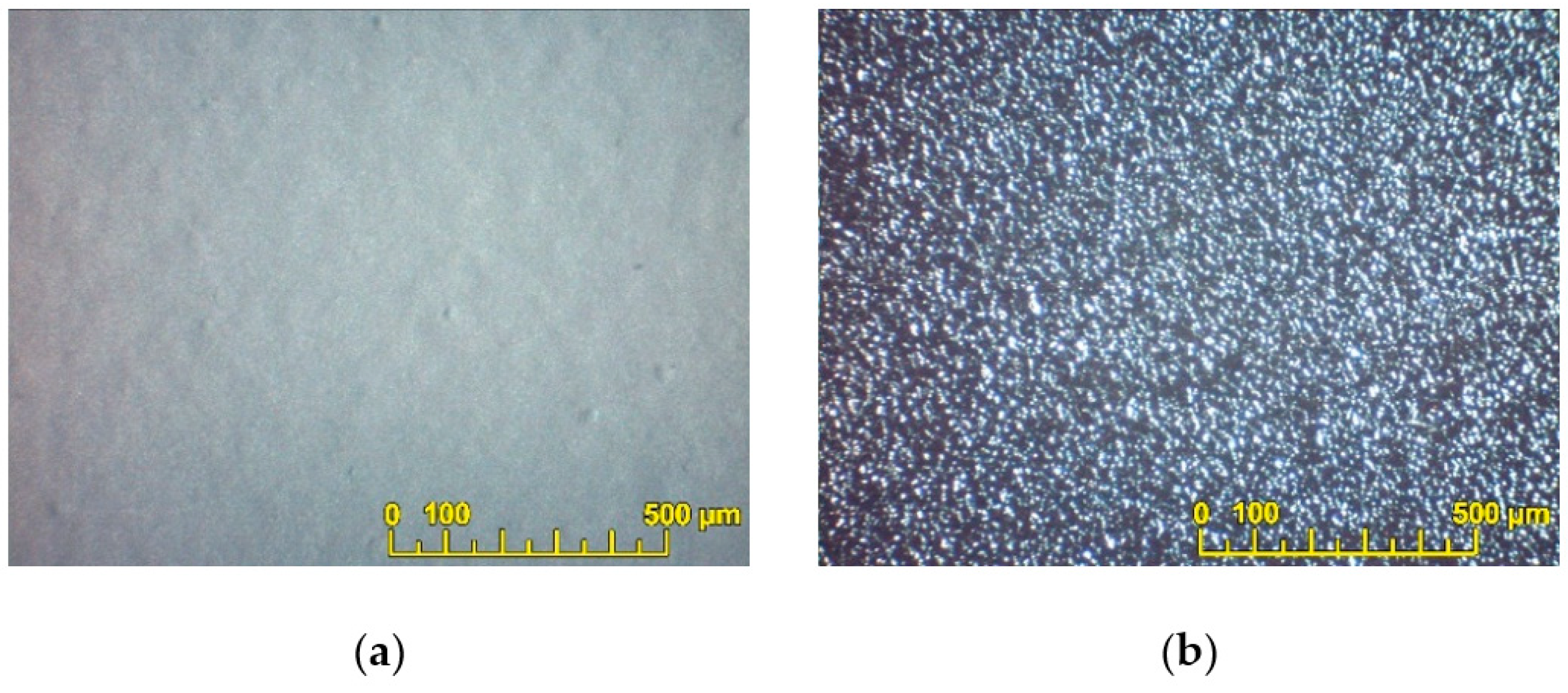 Membranes 13 00484 g005