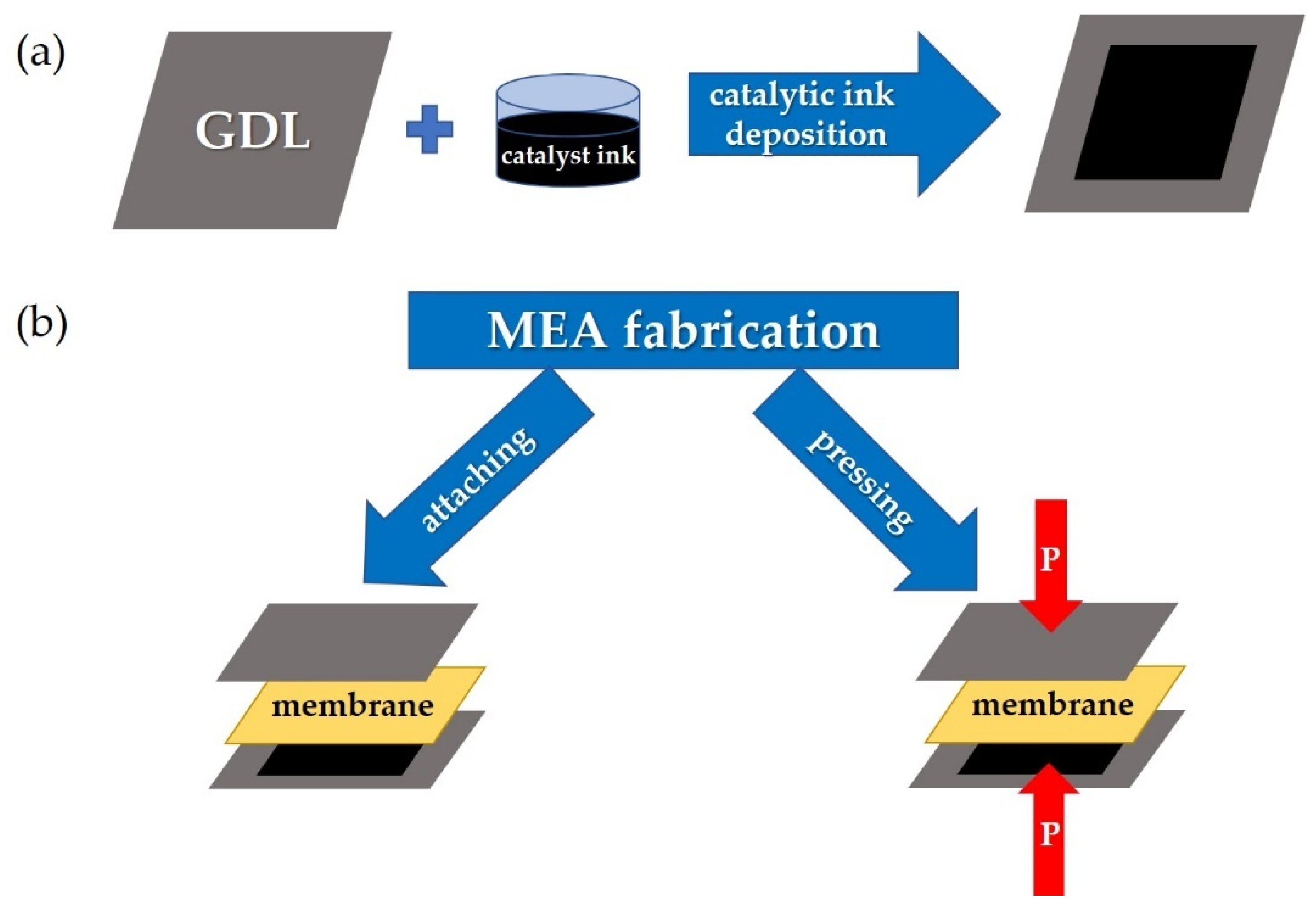 Membranes 13 00485 g002