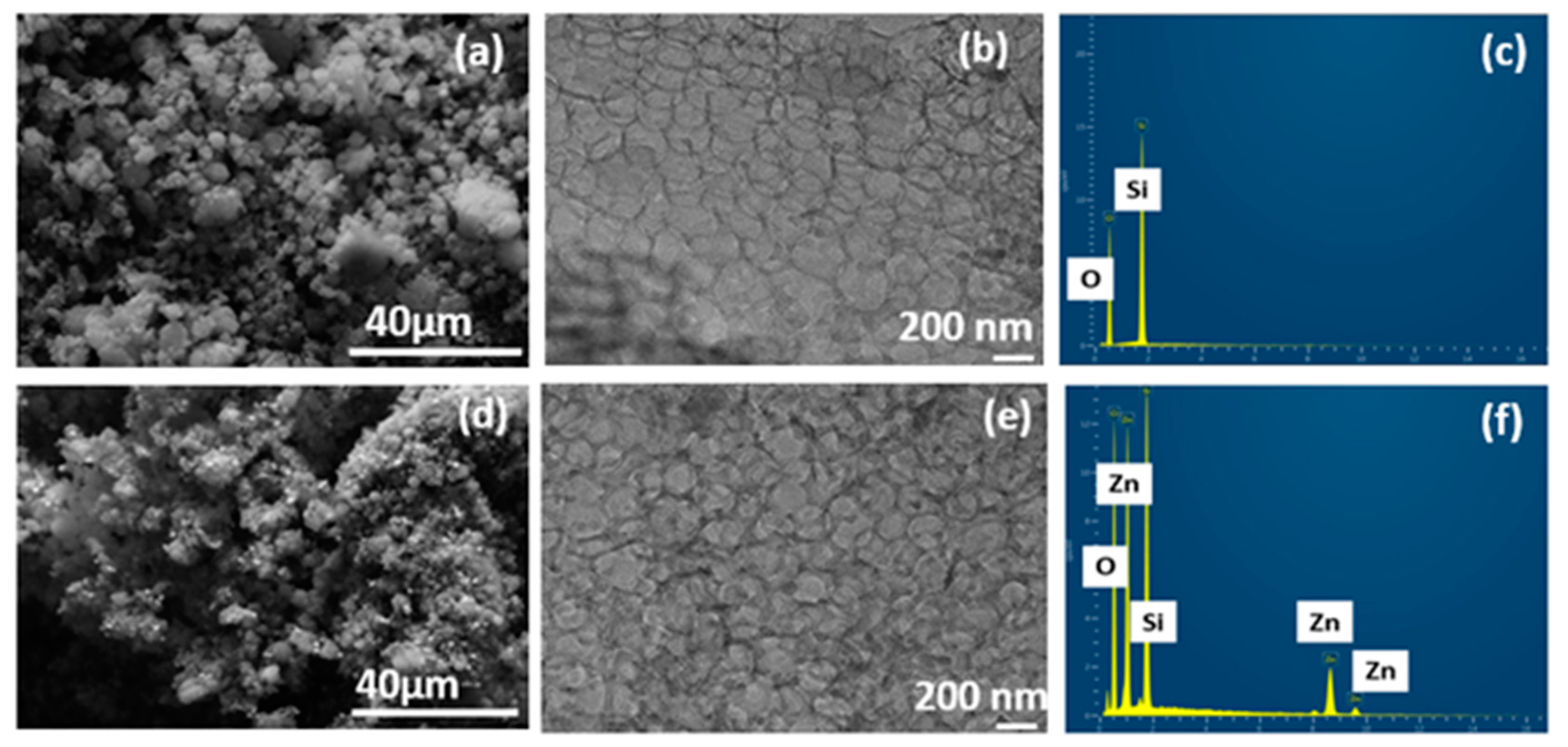 Membranes 13 00486 g002