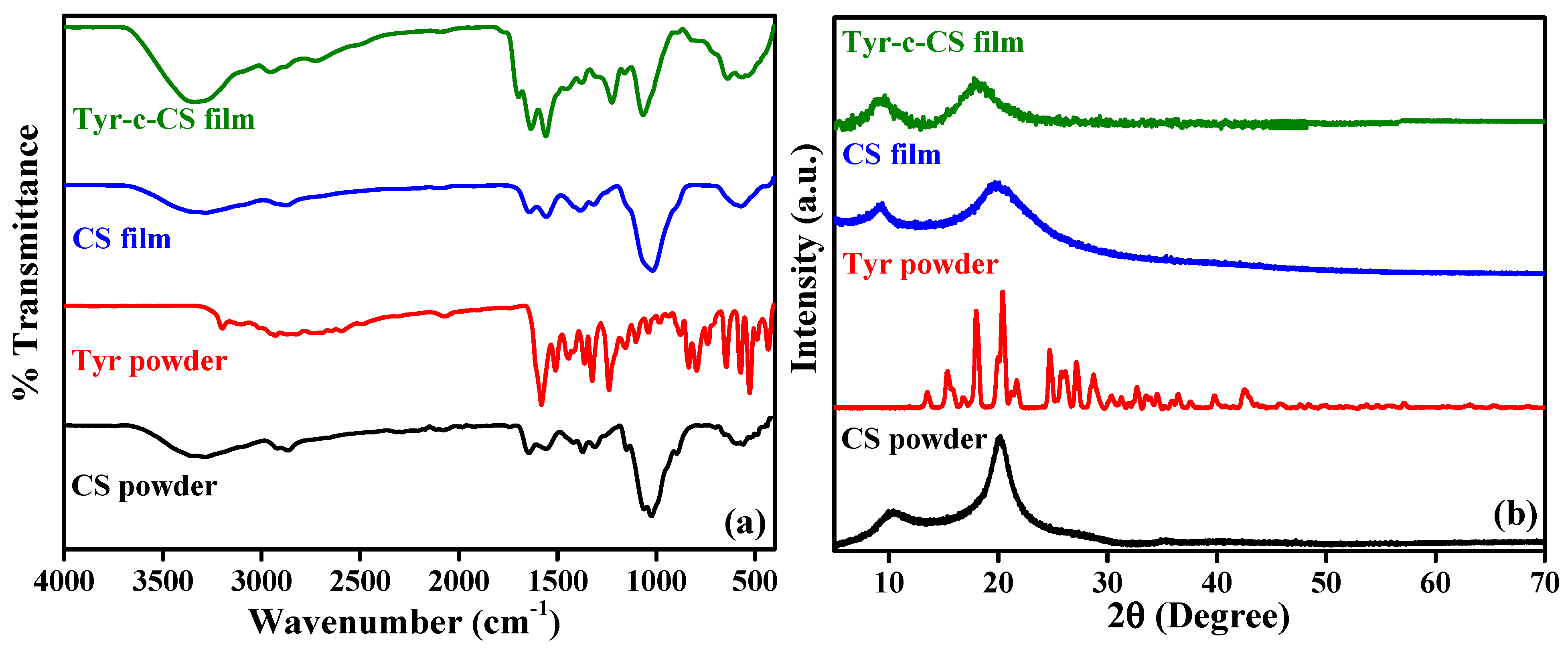 Membranes 13 00487 g001