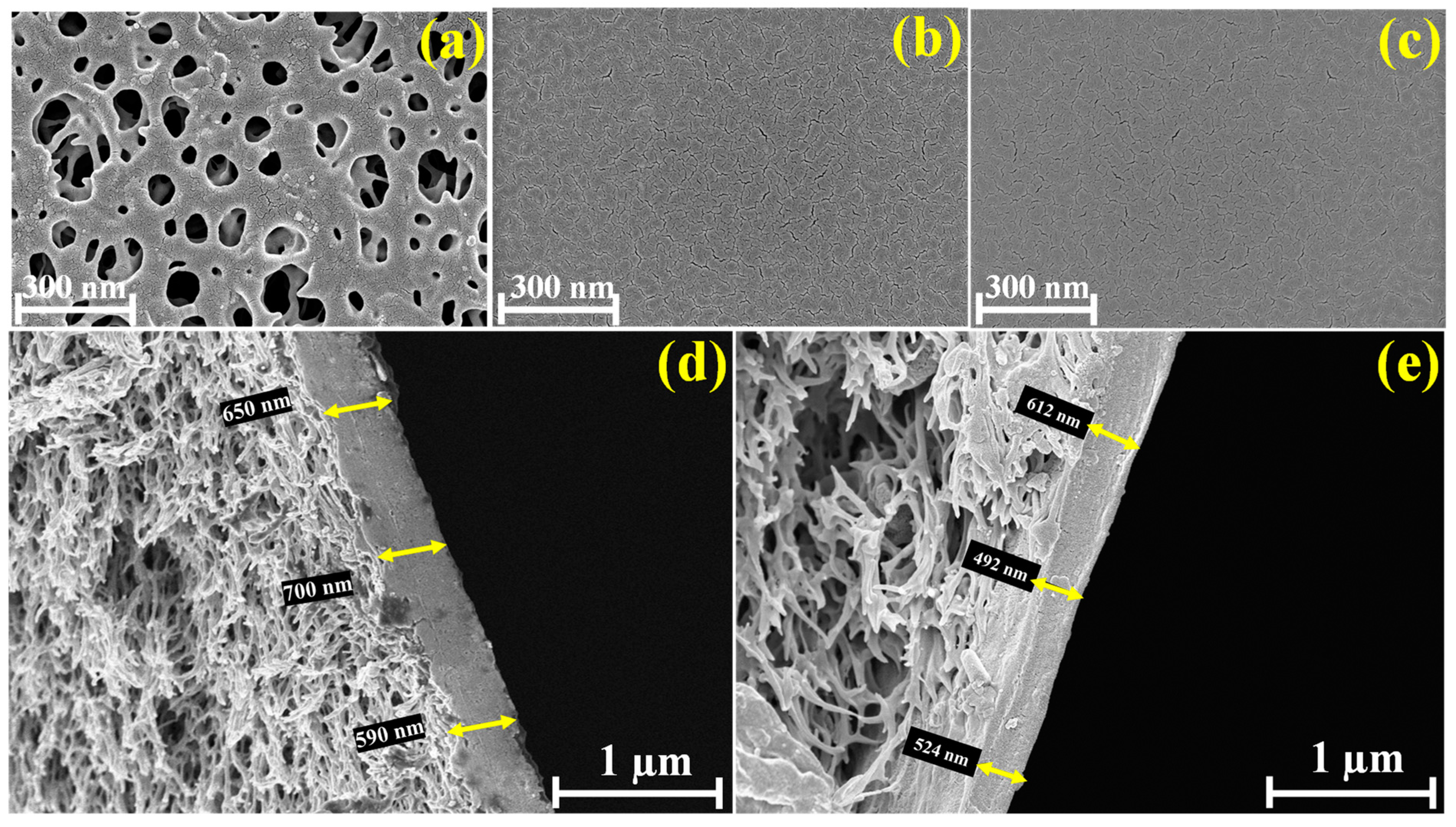Membranes 13 00487 g003