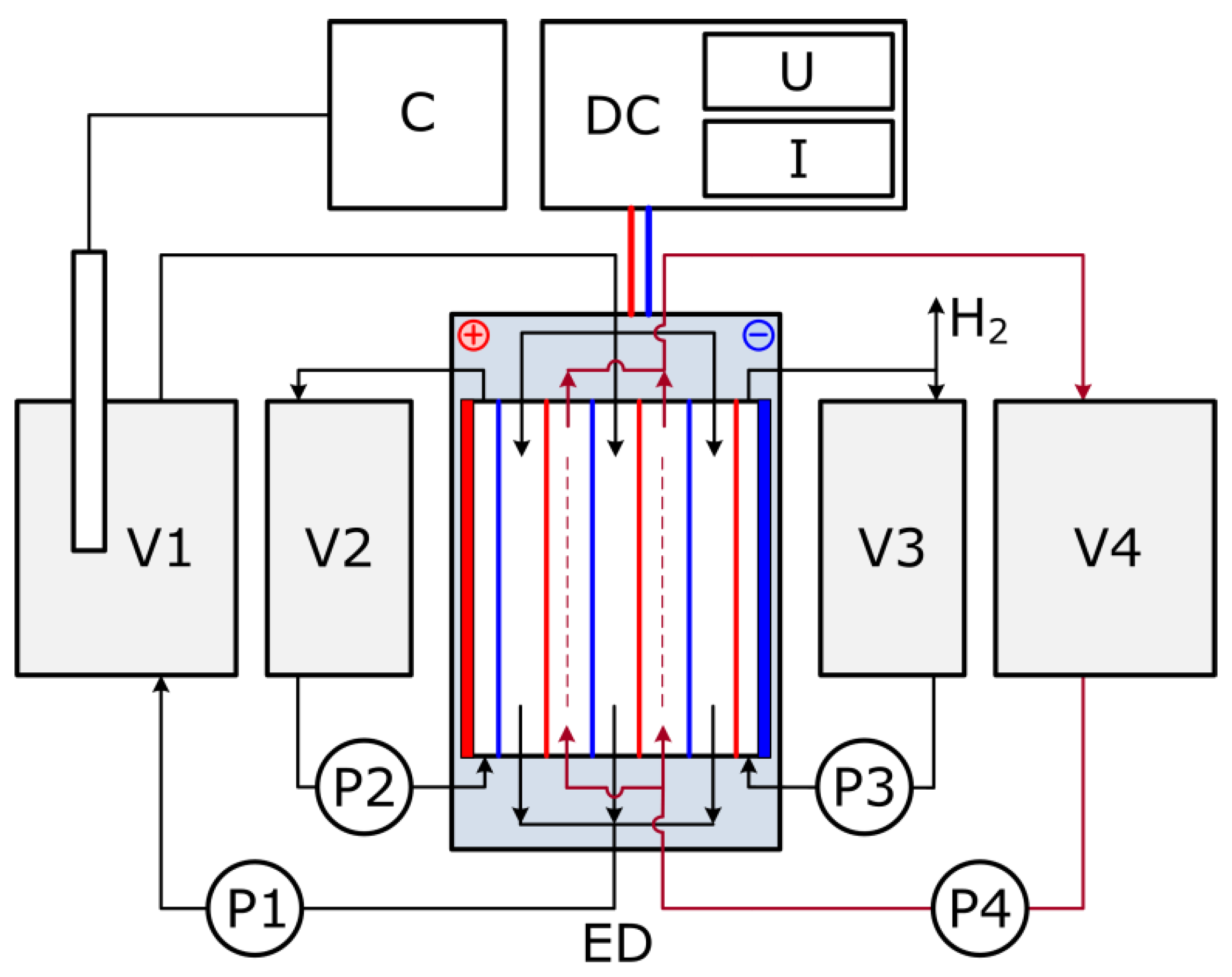 Membranes 13 00491 g001