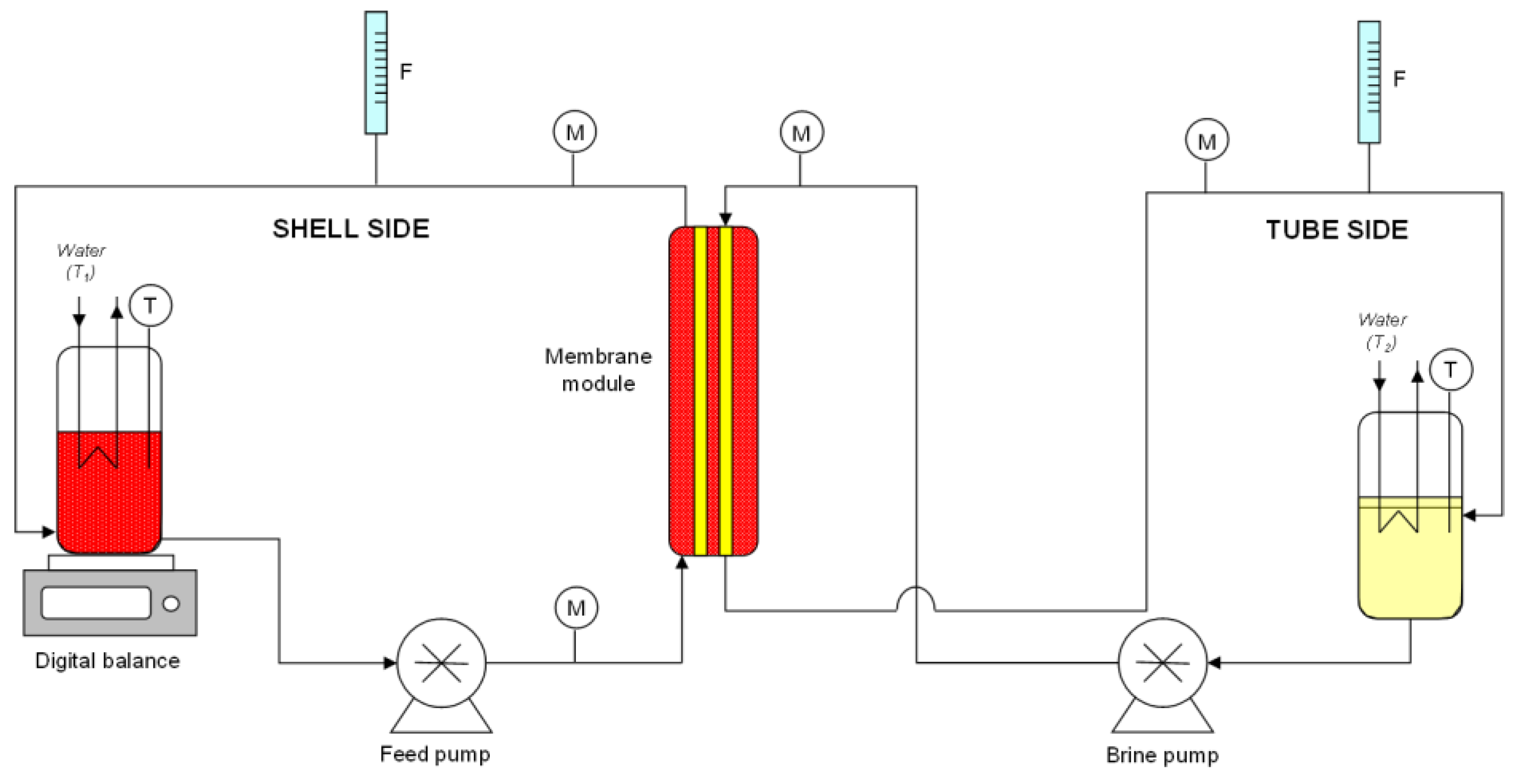Membranes 13 00496 g001