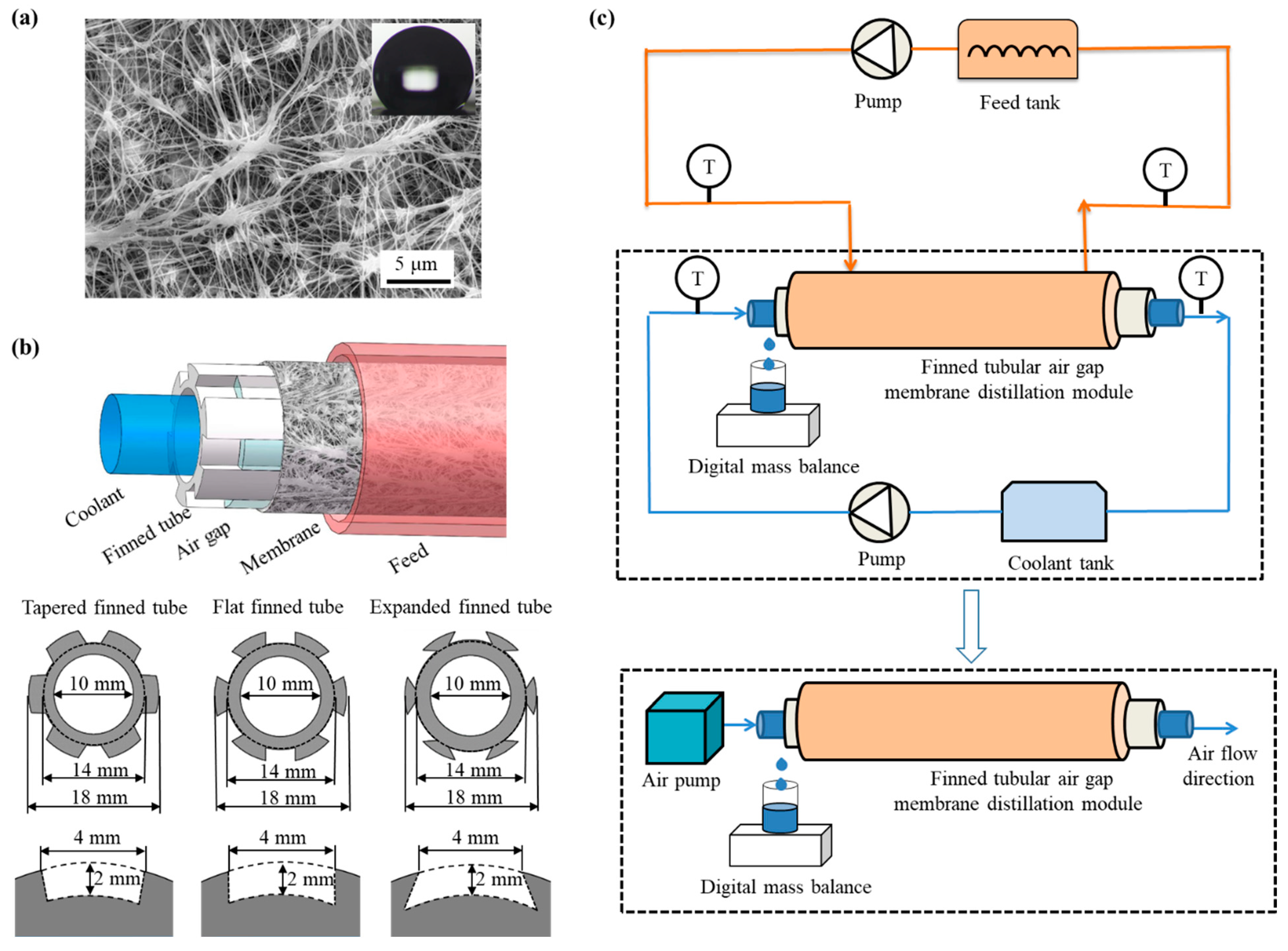 Membranes 13 00498 g001