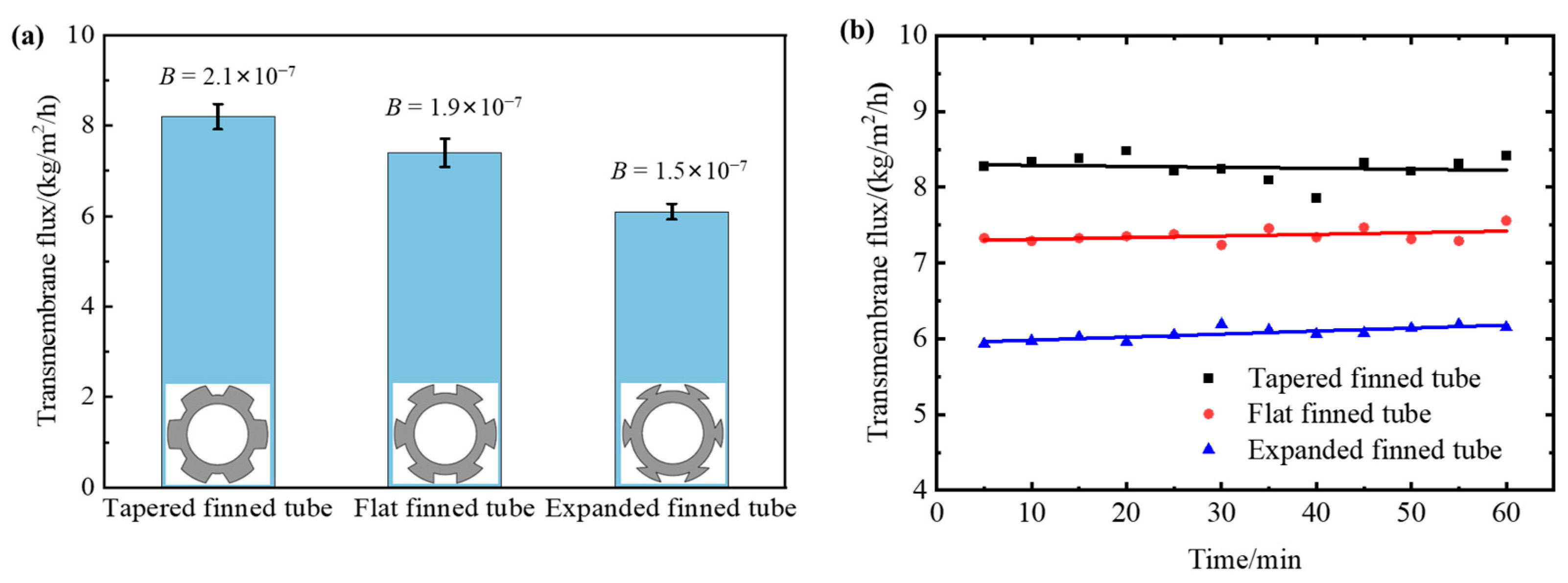 Membranes 13 00498 g002