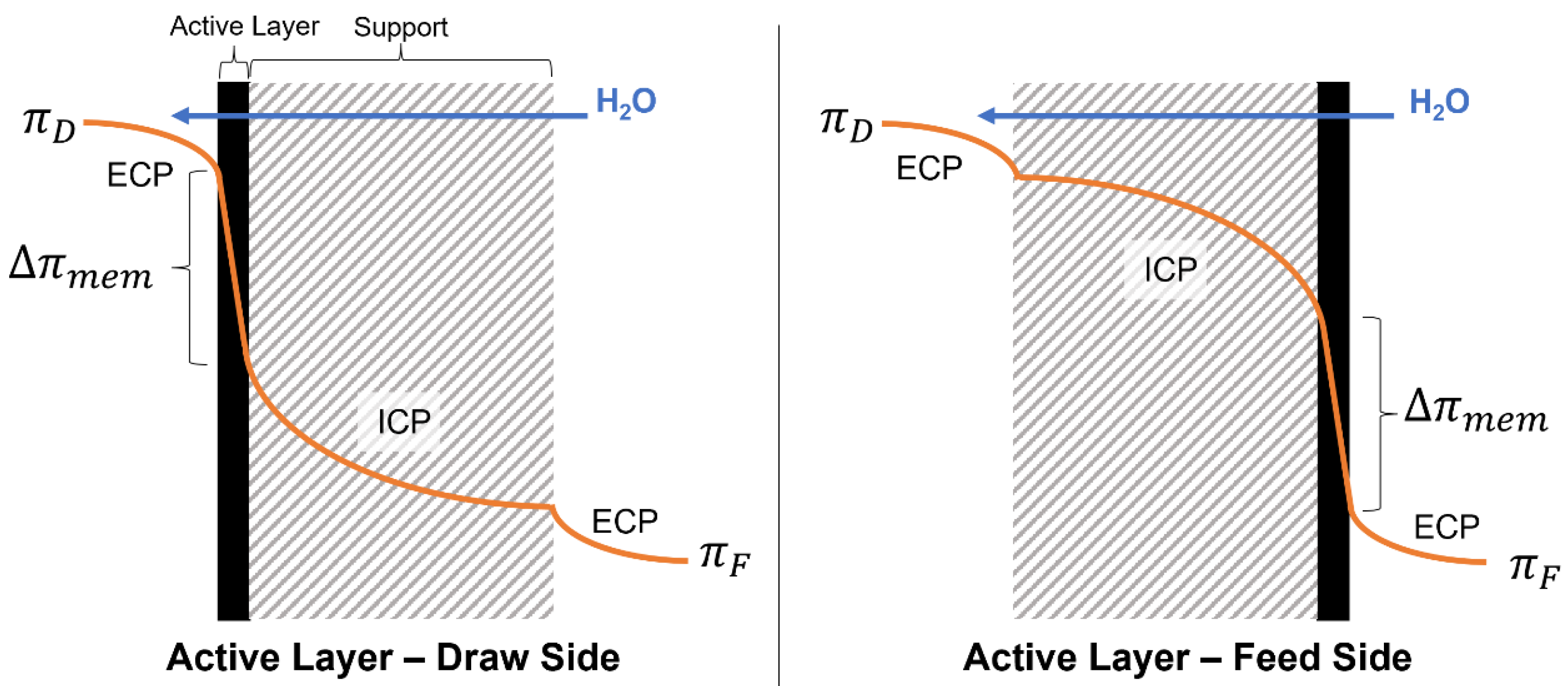 Membranes 13 00501 g001