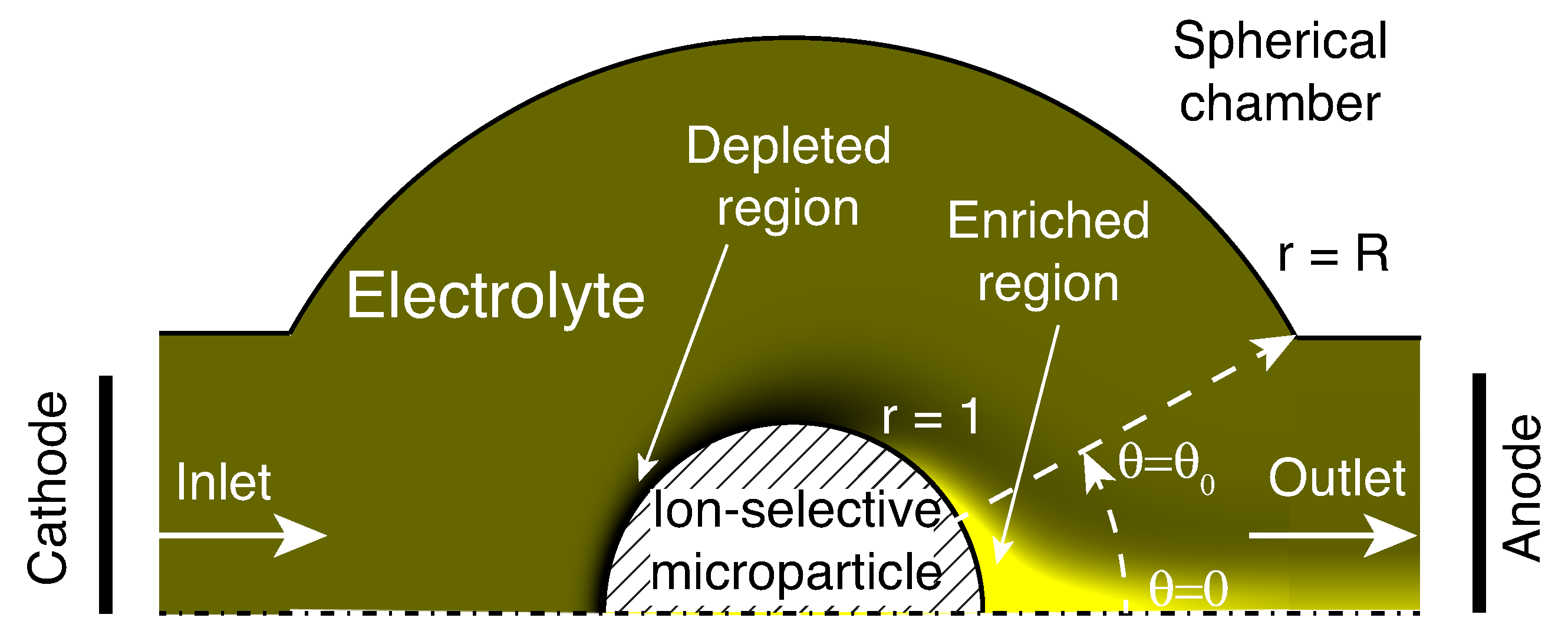 Membranes 13 00503 g001