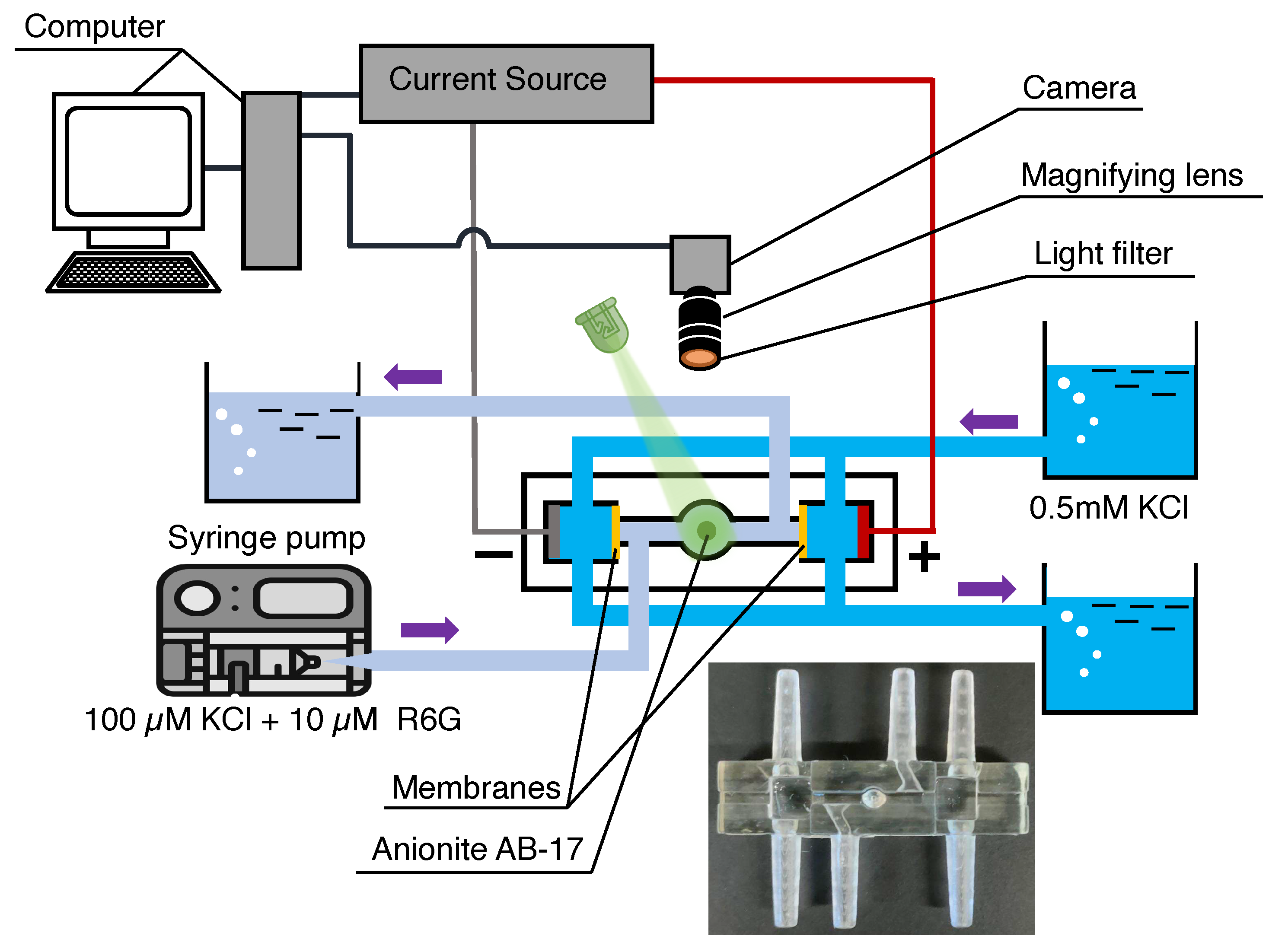 Membranes 13 00503 g003