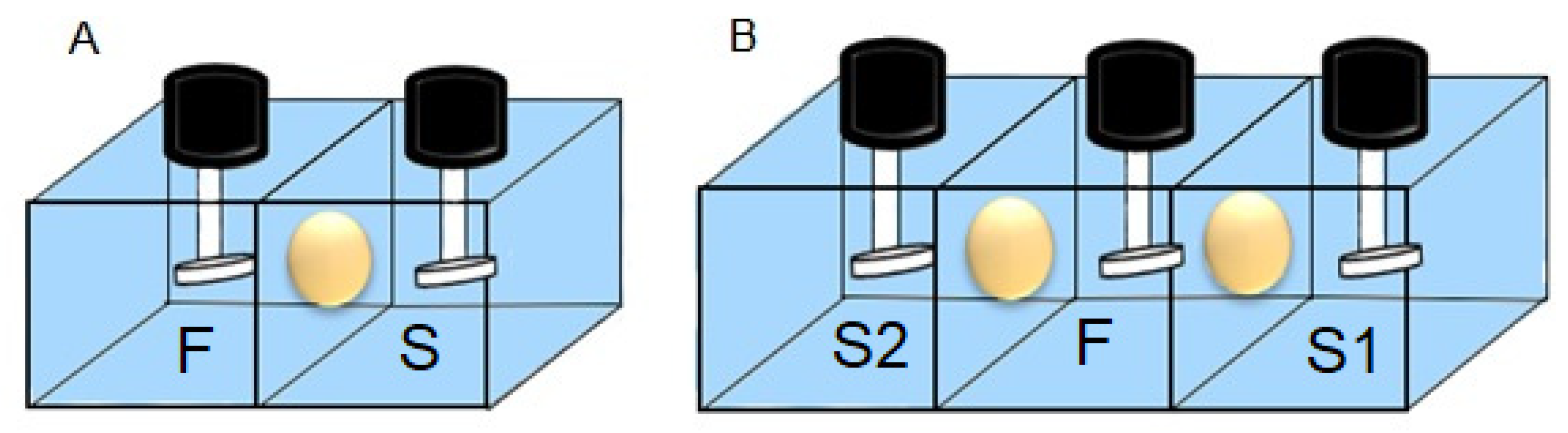Membranes 13 00512 g001