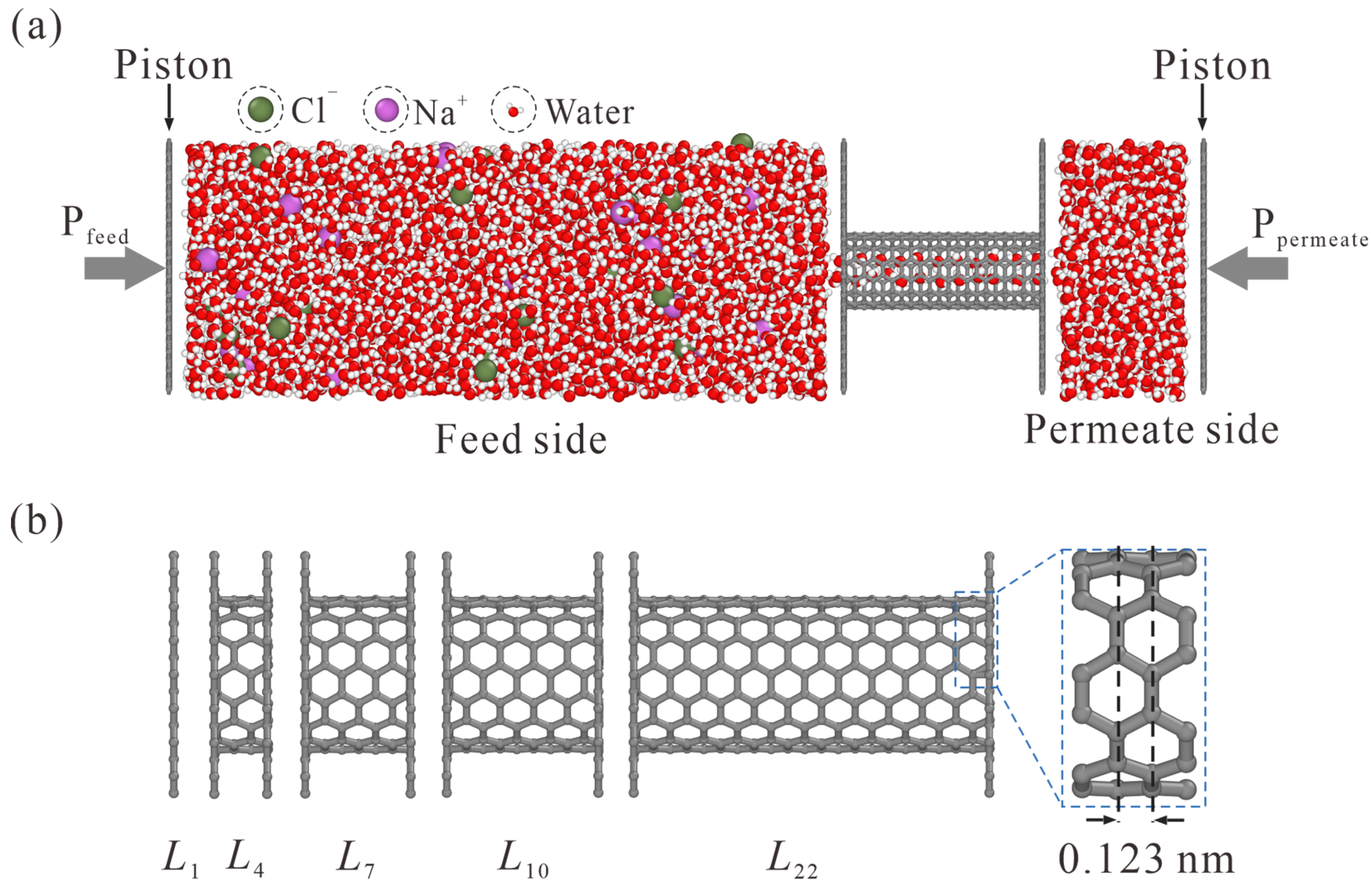 Membranes 13 00525 g001 Membranes 13 00525 g001