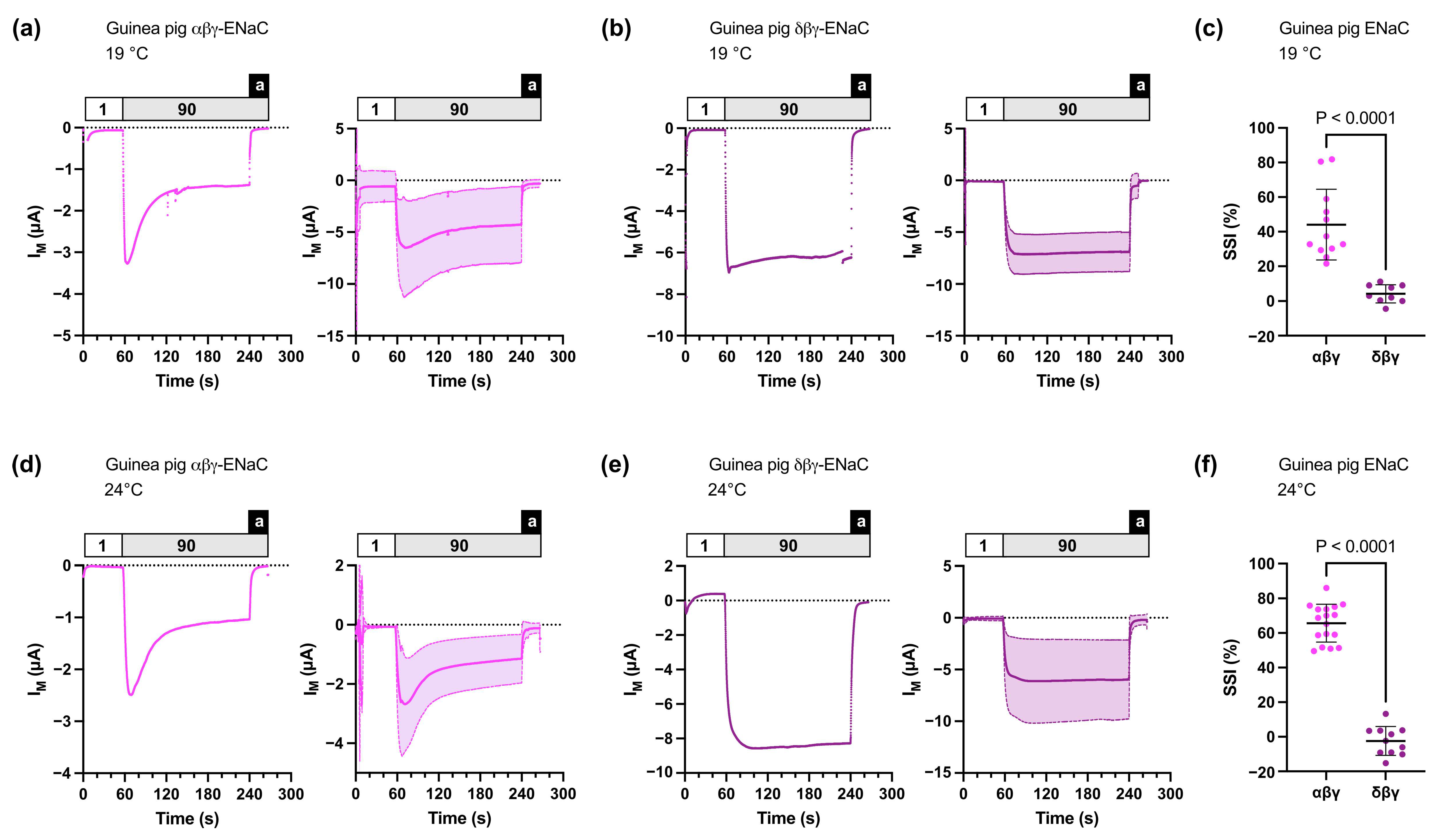 Membranes 13 00529 g001