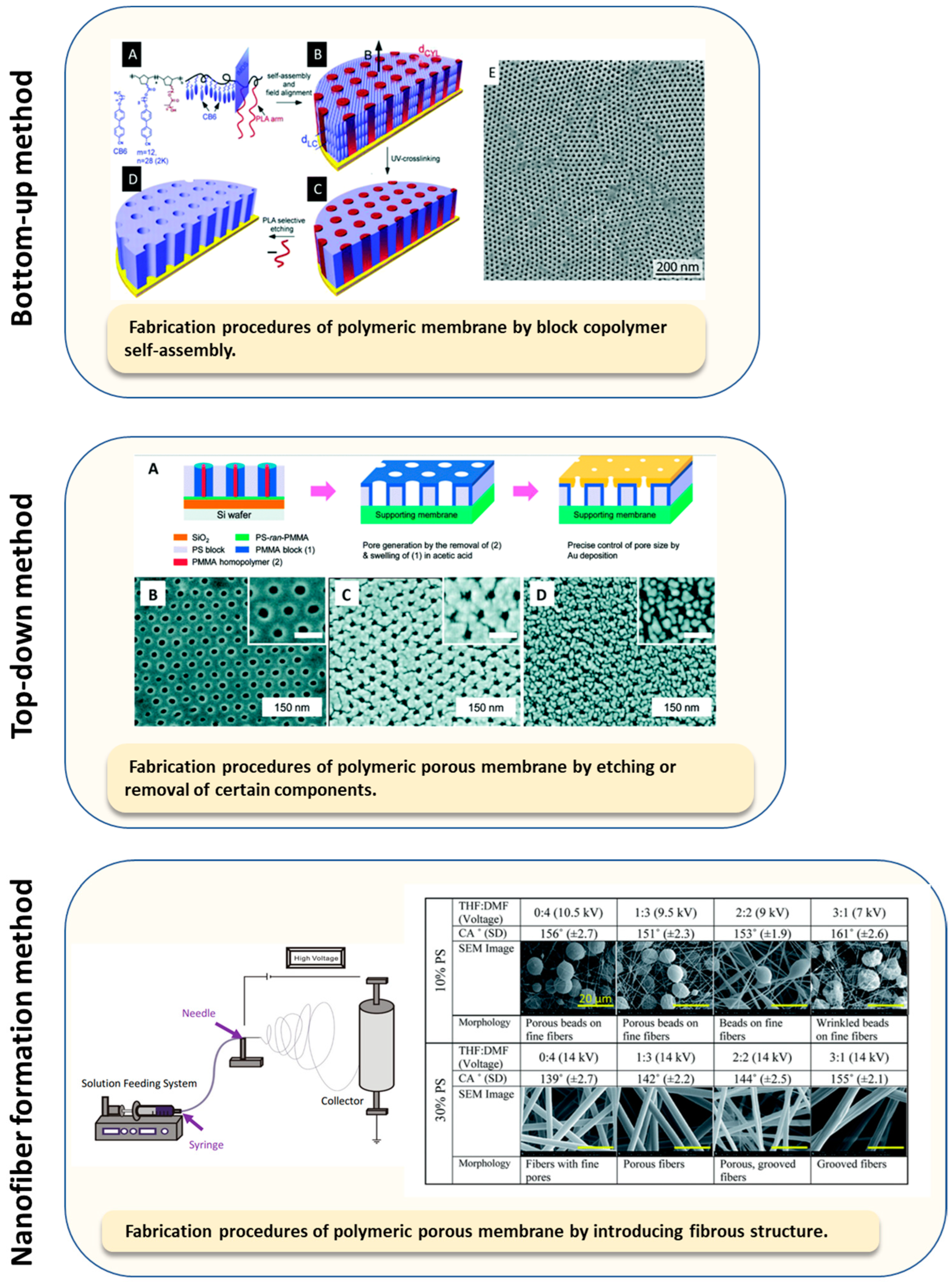Membranes 13 00532 g002