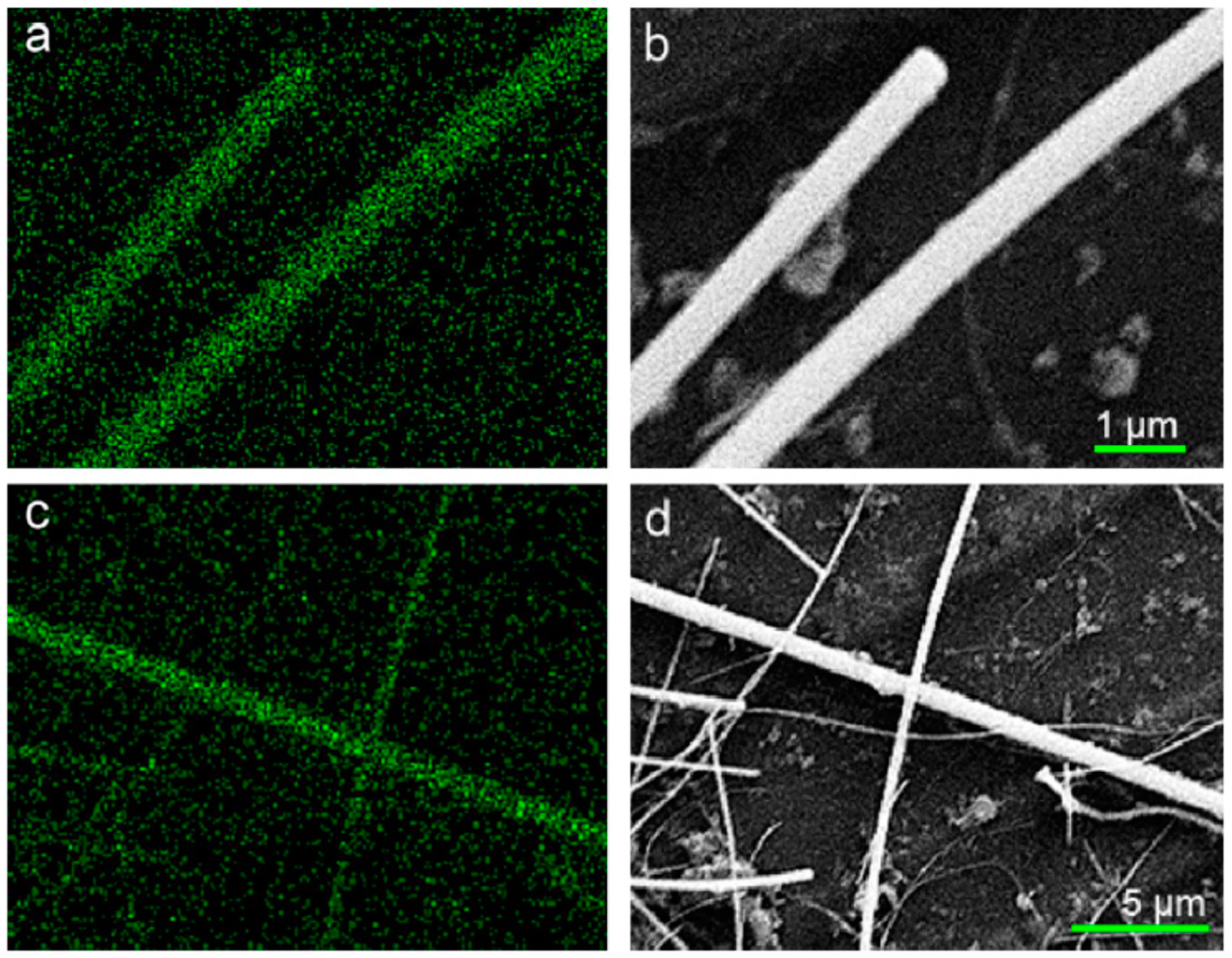 Membranes 13 00532 g006